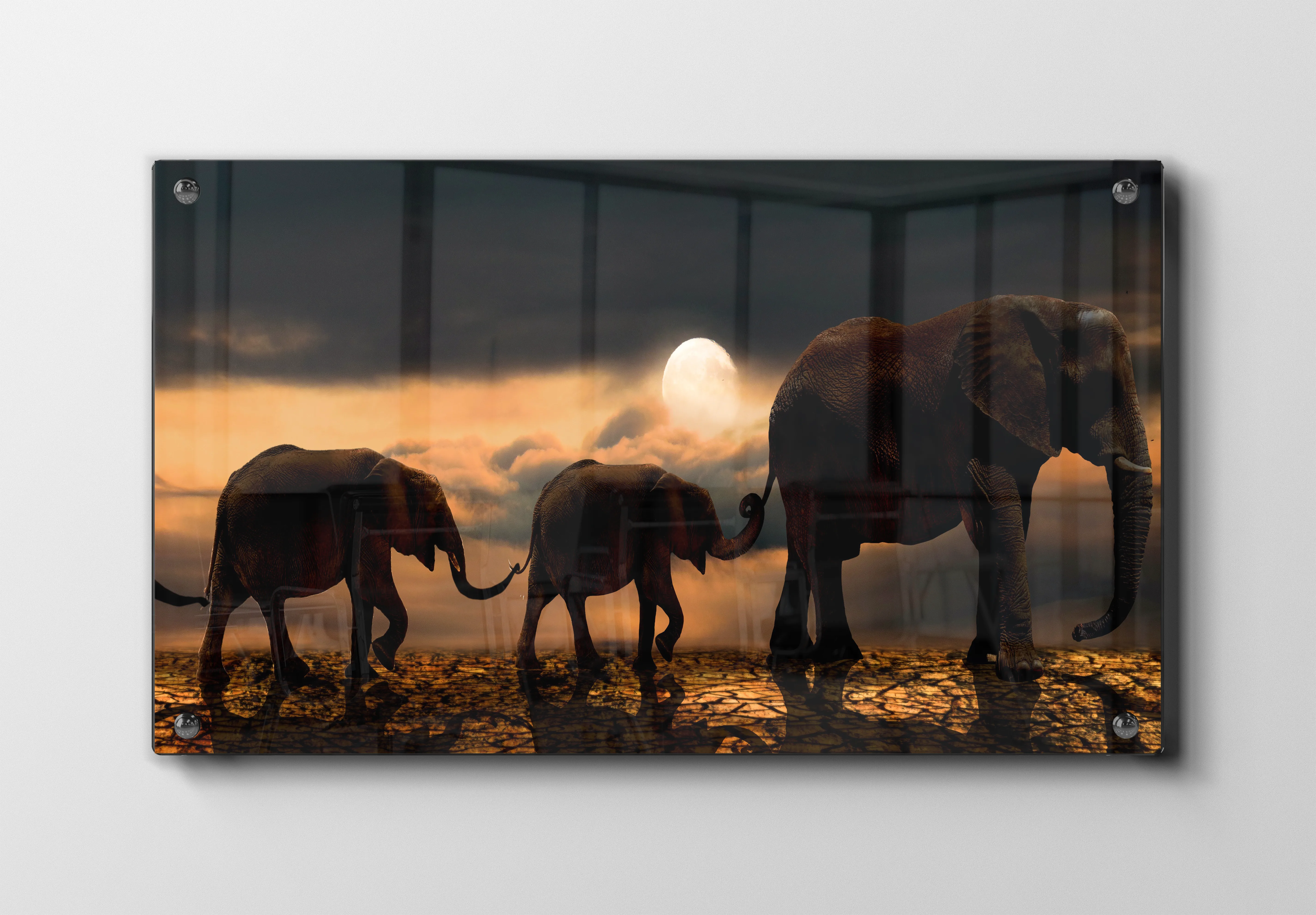 African Elephant Herd No3 Plakat
