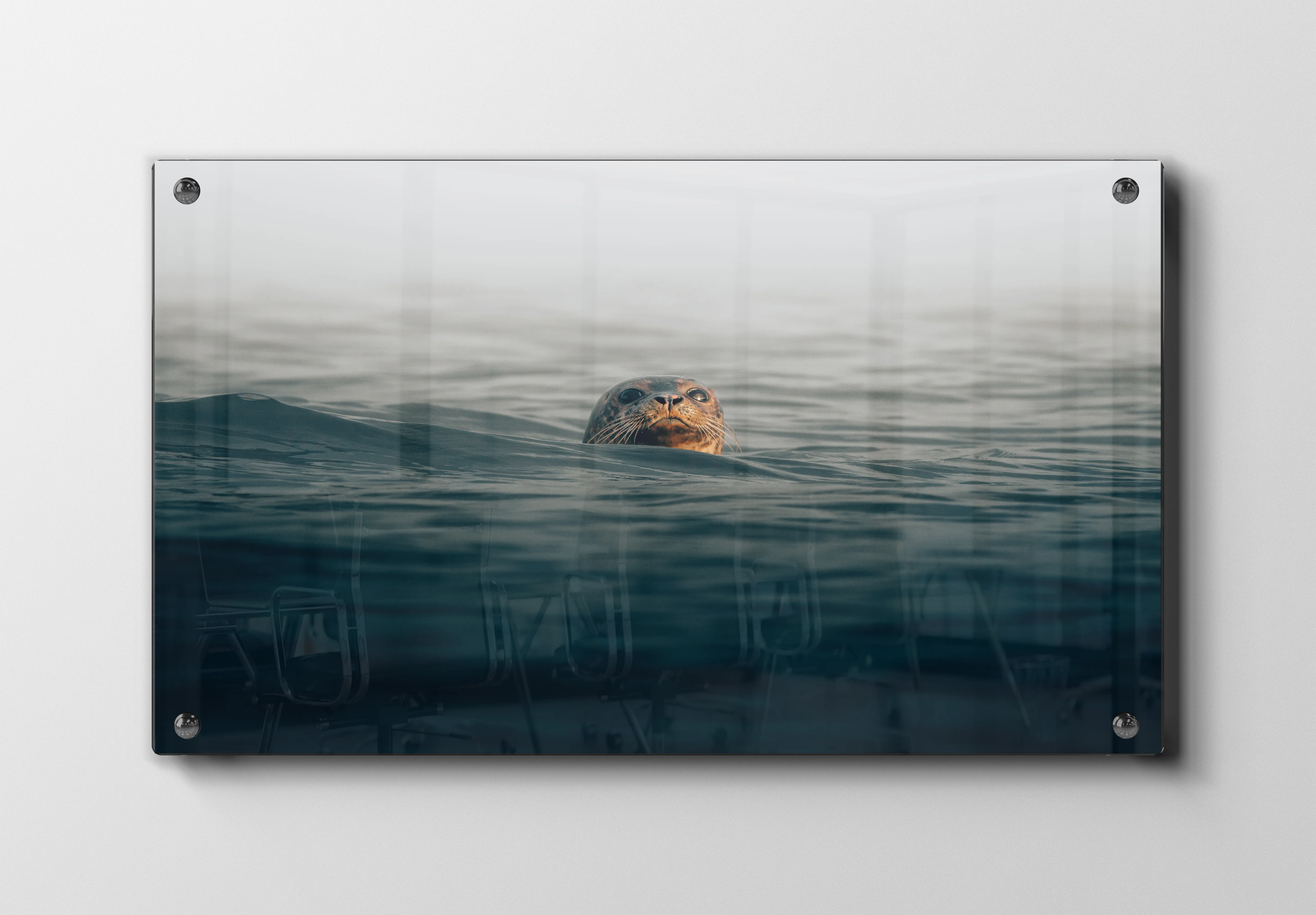 Ko Harbor Plakat