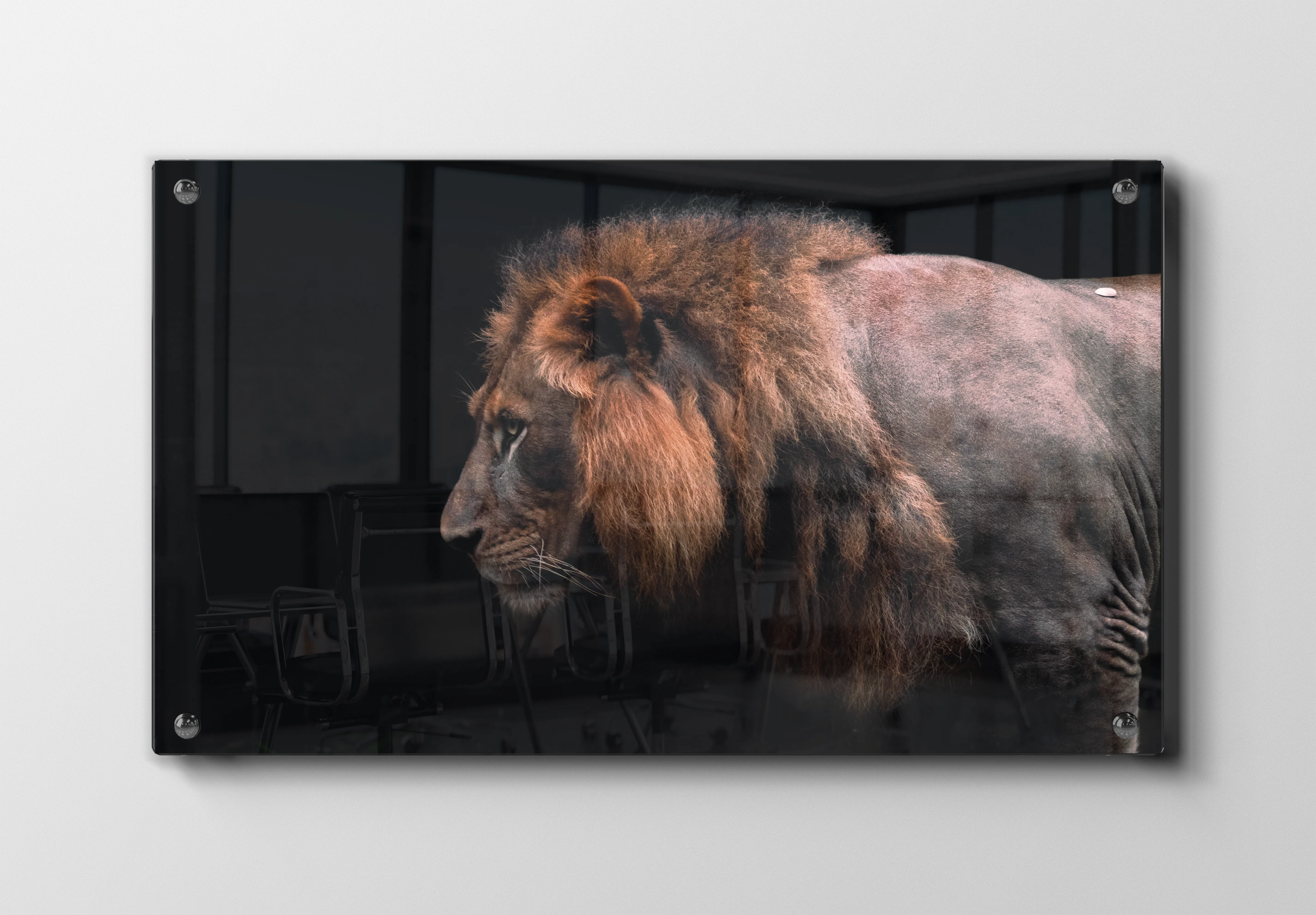 Lion Side Plakat