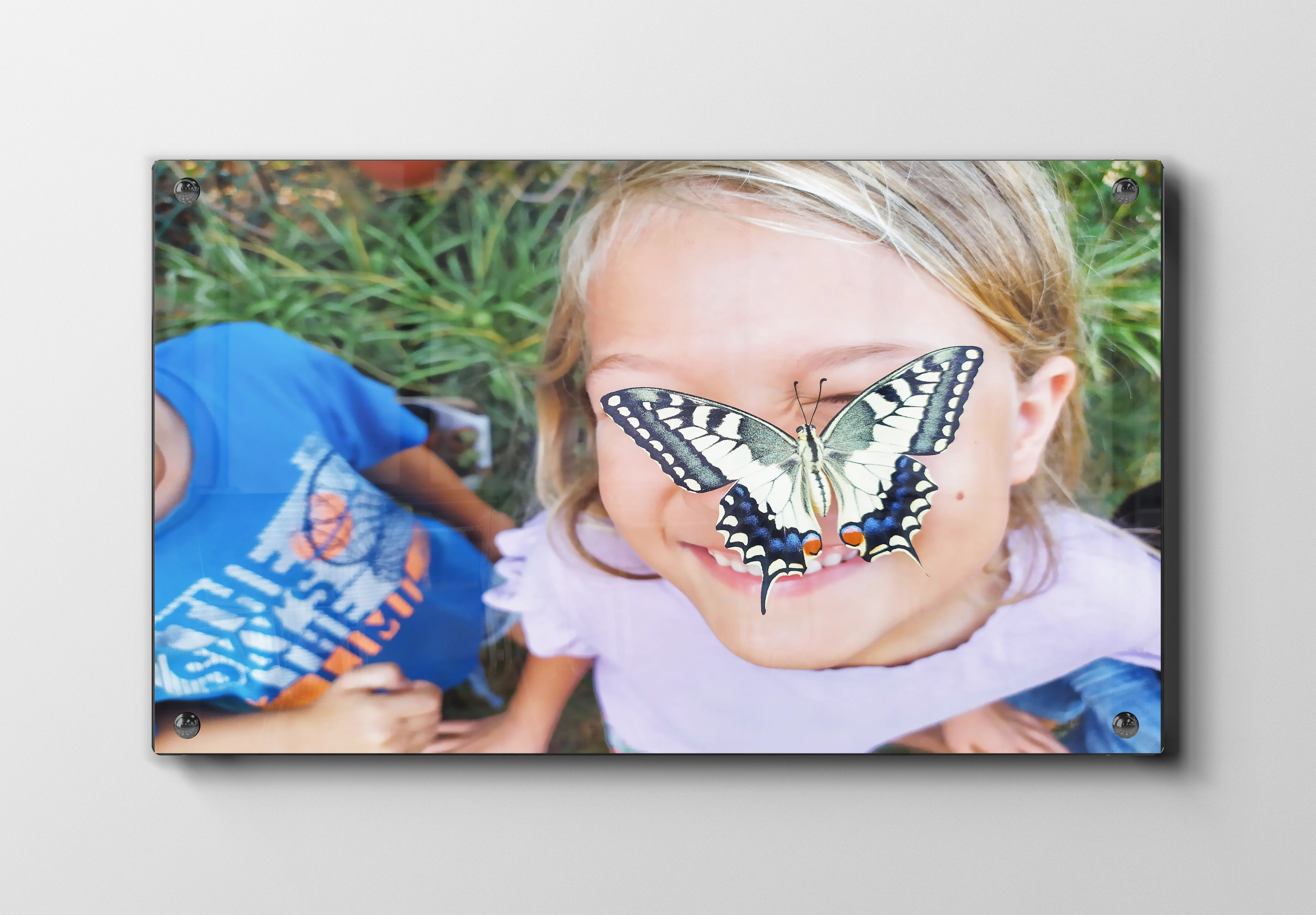 Swallowtail Butterfly Plakat