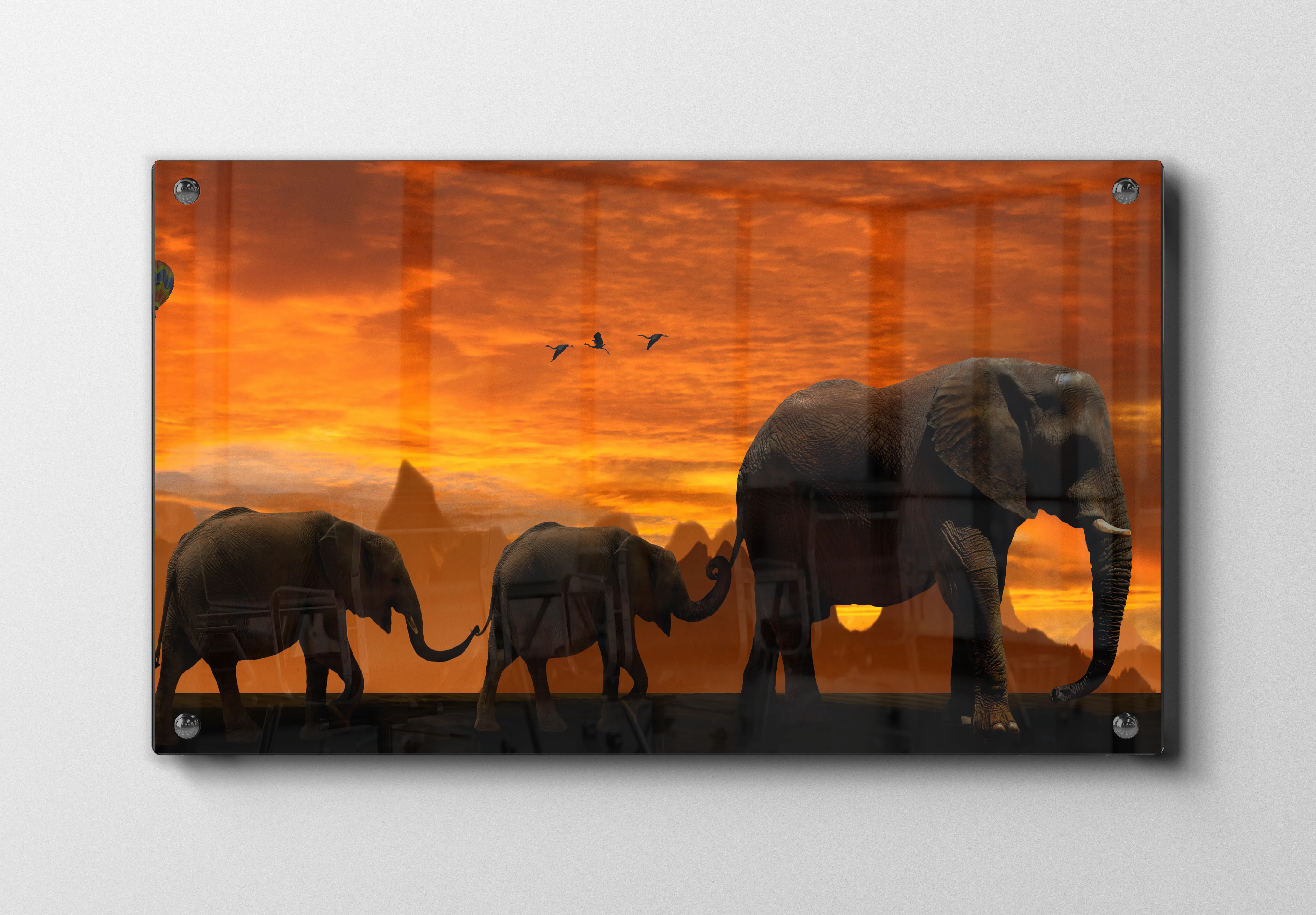 Elephant Sunset Plakat