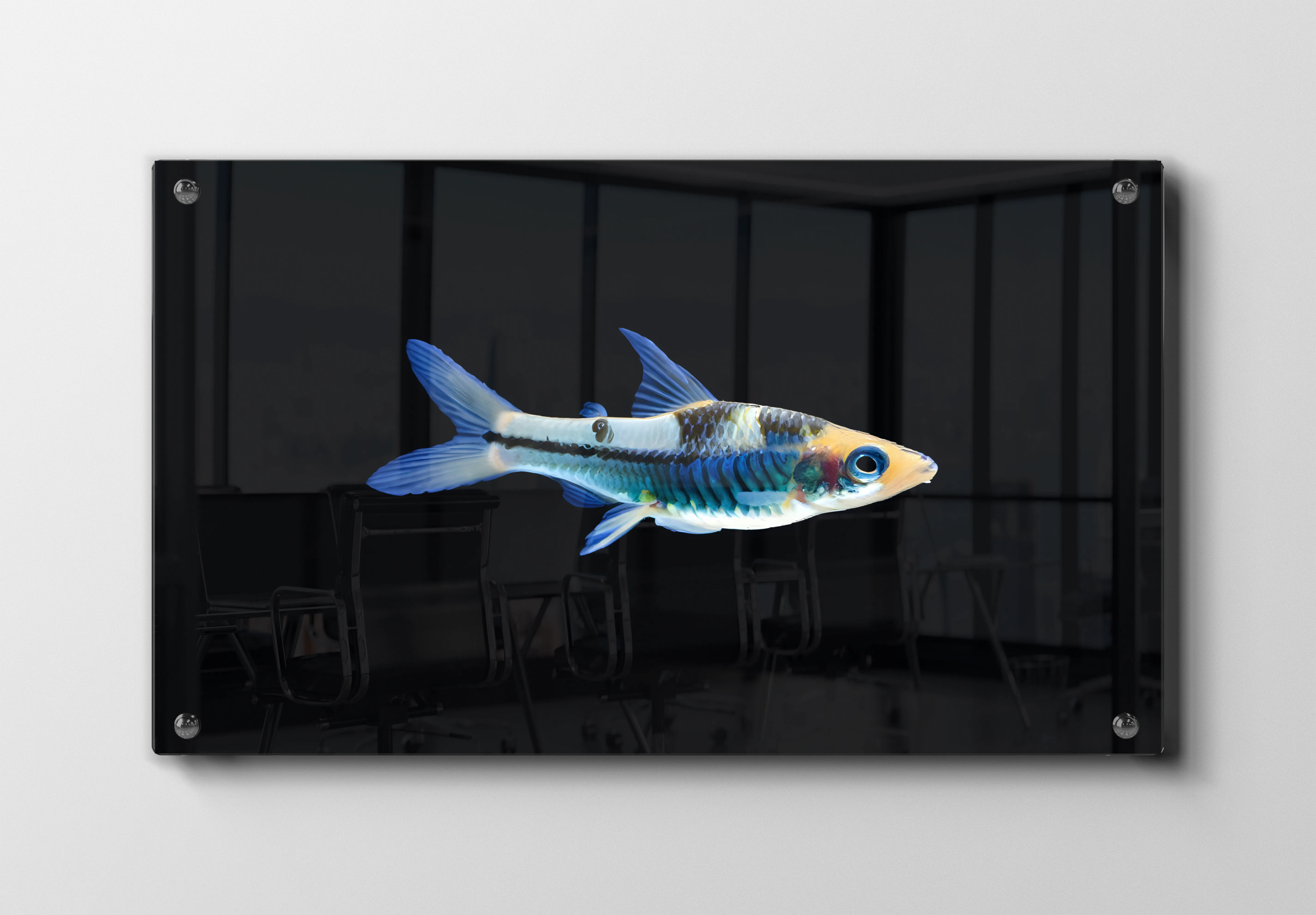 Glowlight Tetra Plakat