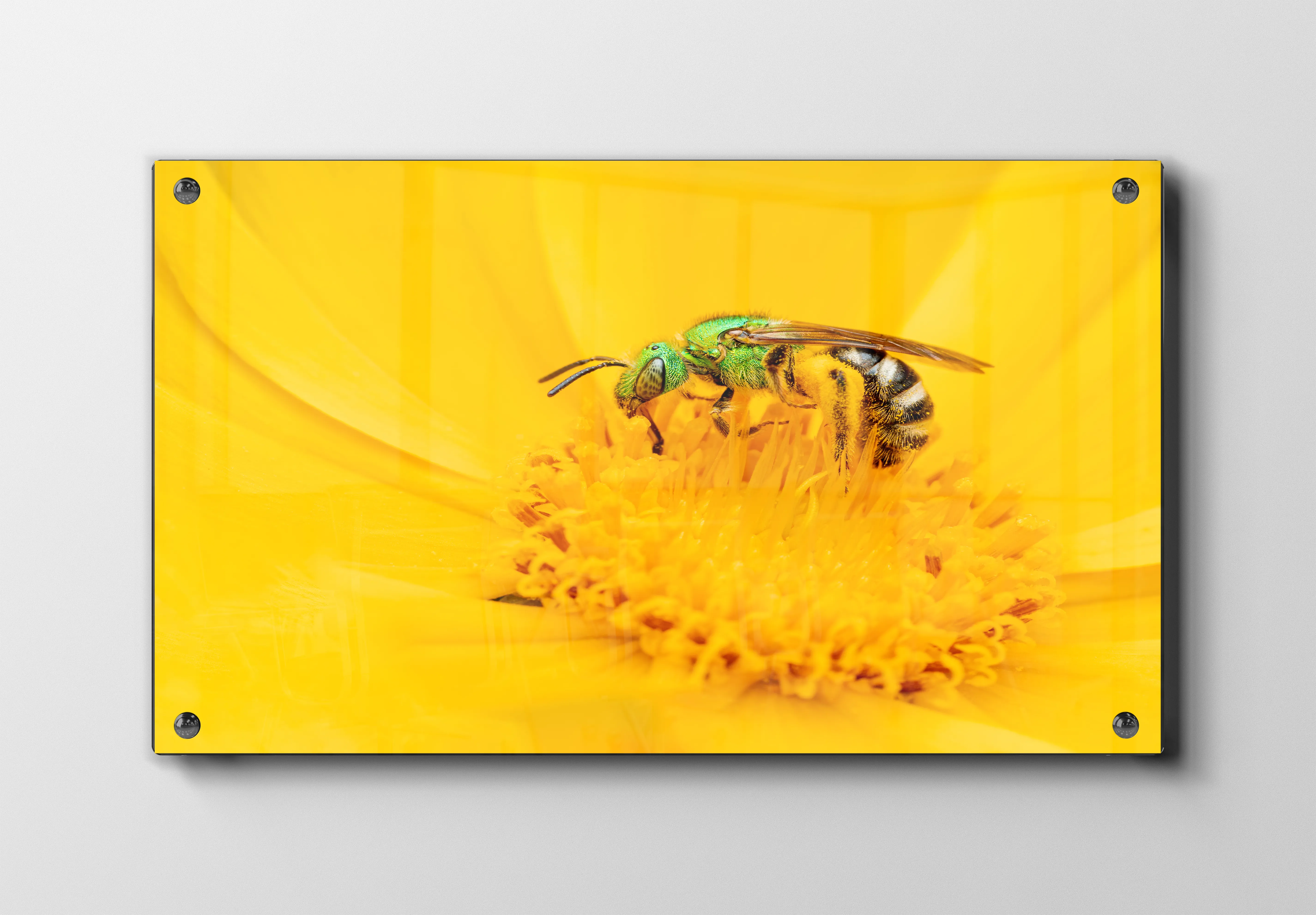 Green Bee Plakat