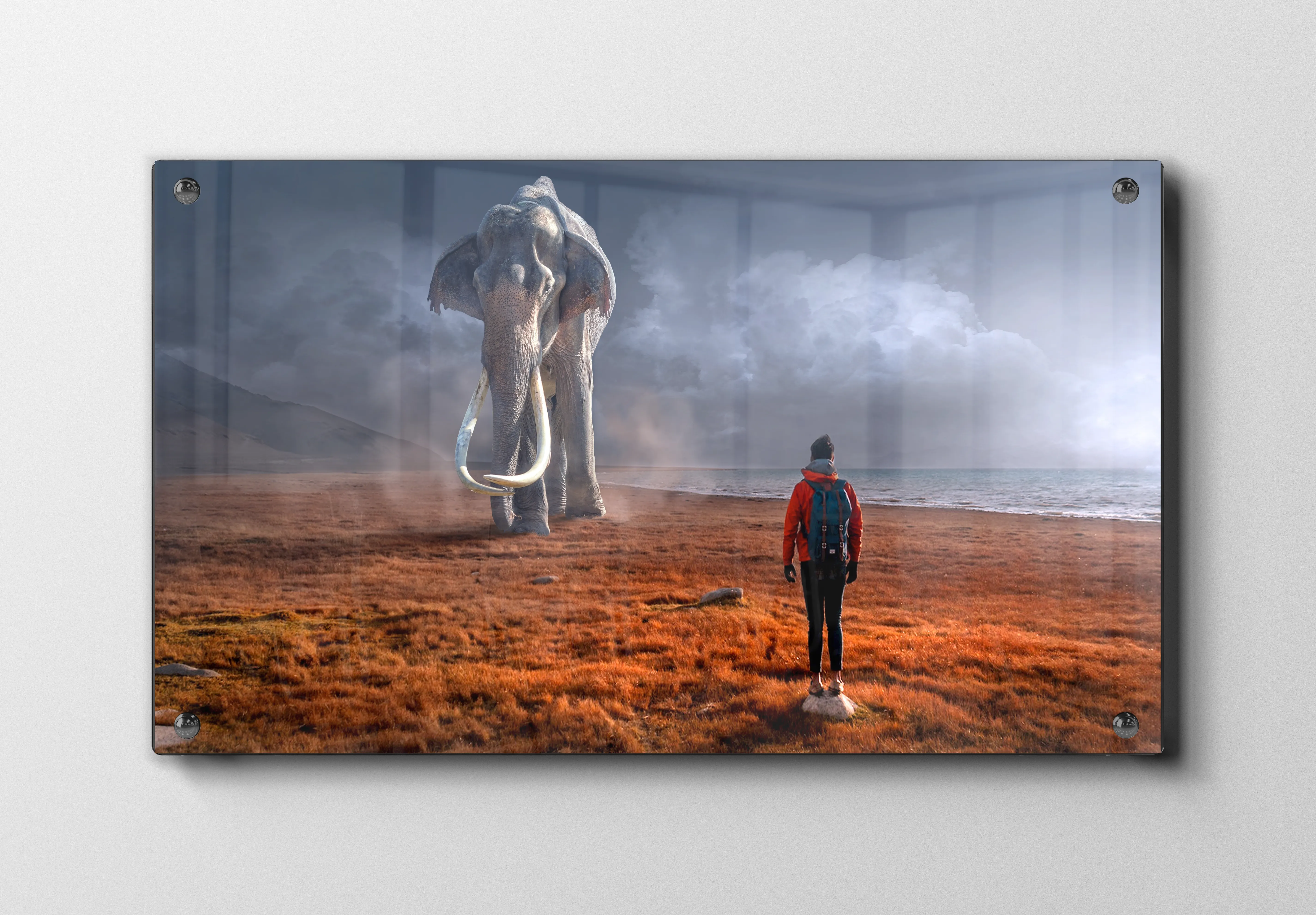 Elephant Encounter Plakat