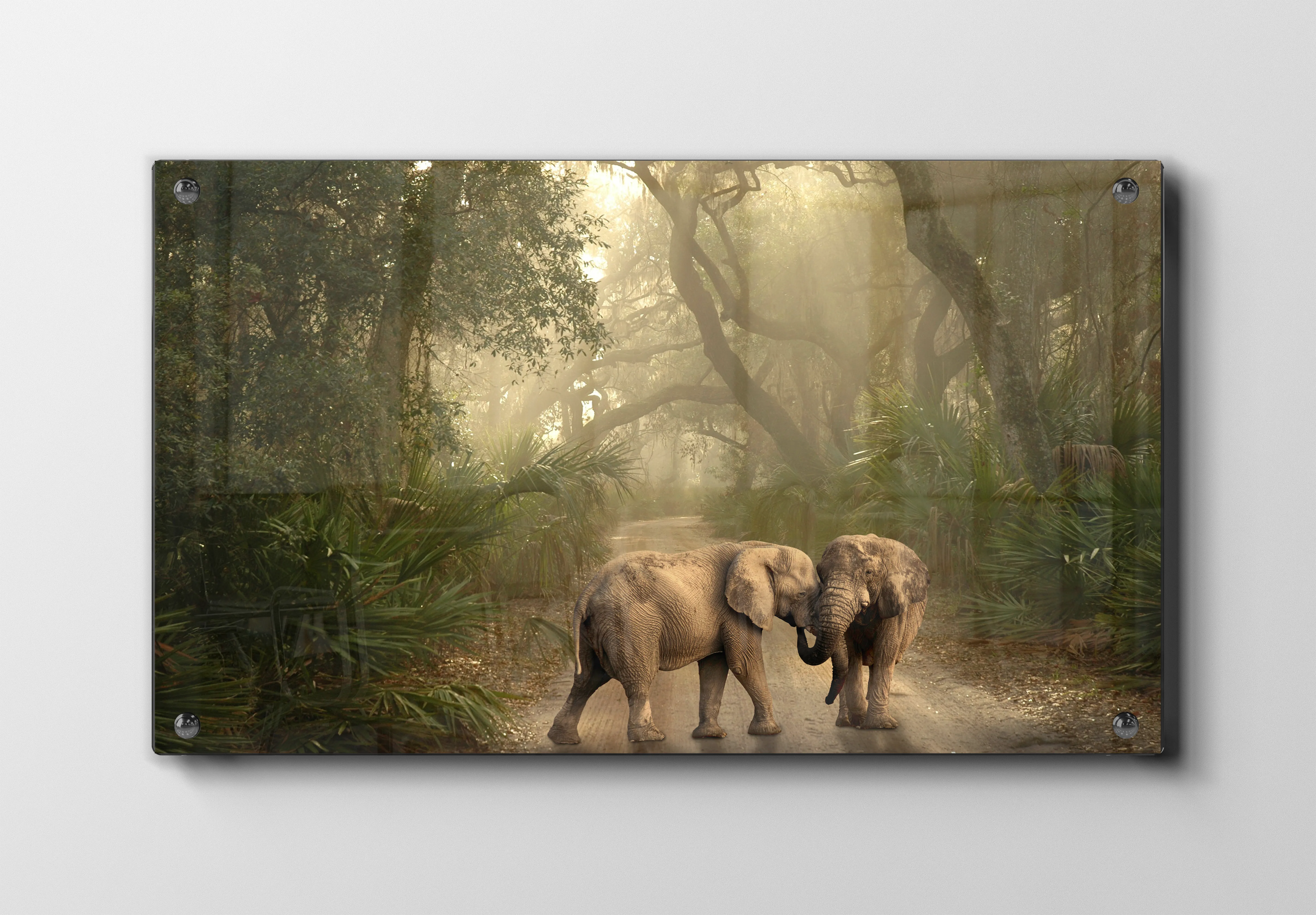 Elephant Forest Path Plakat