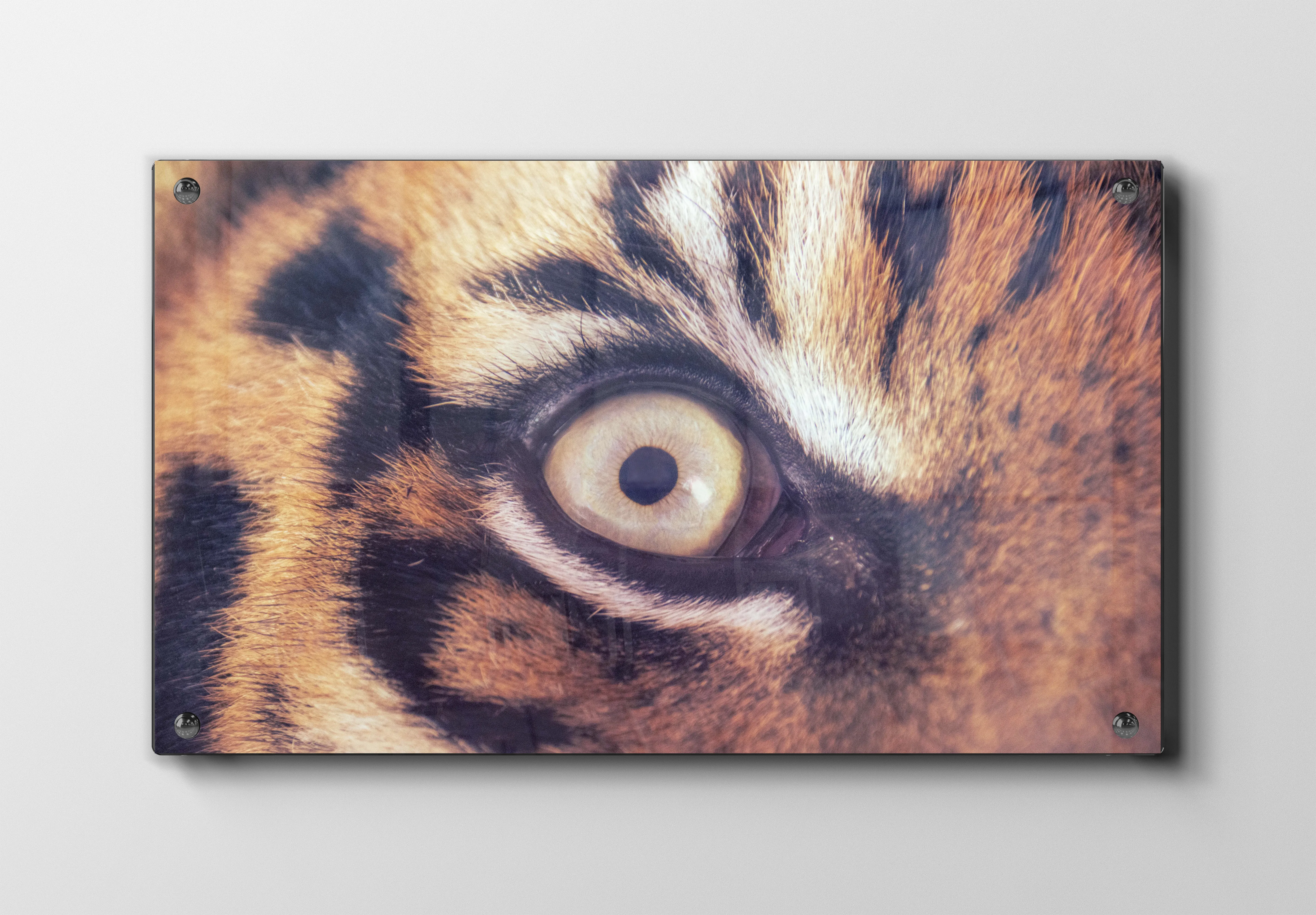 Tiger Eye Plakat