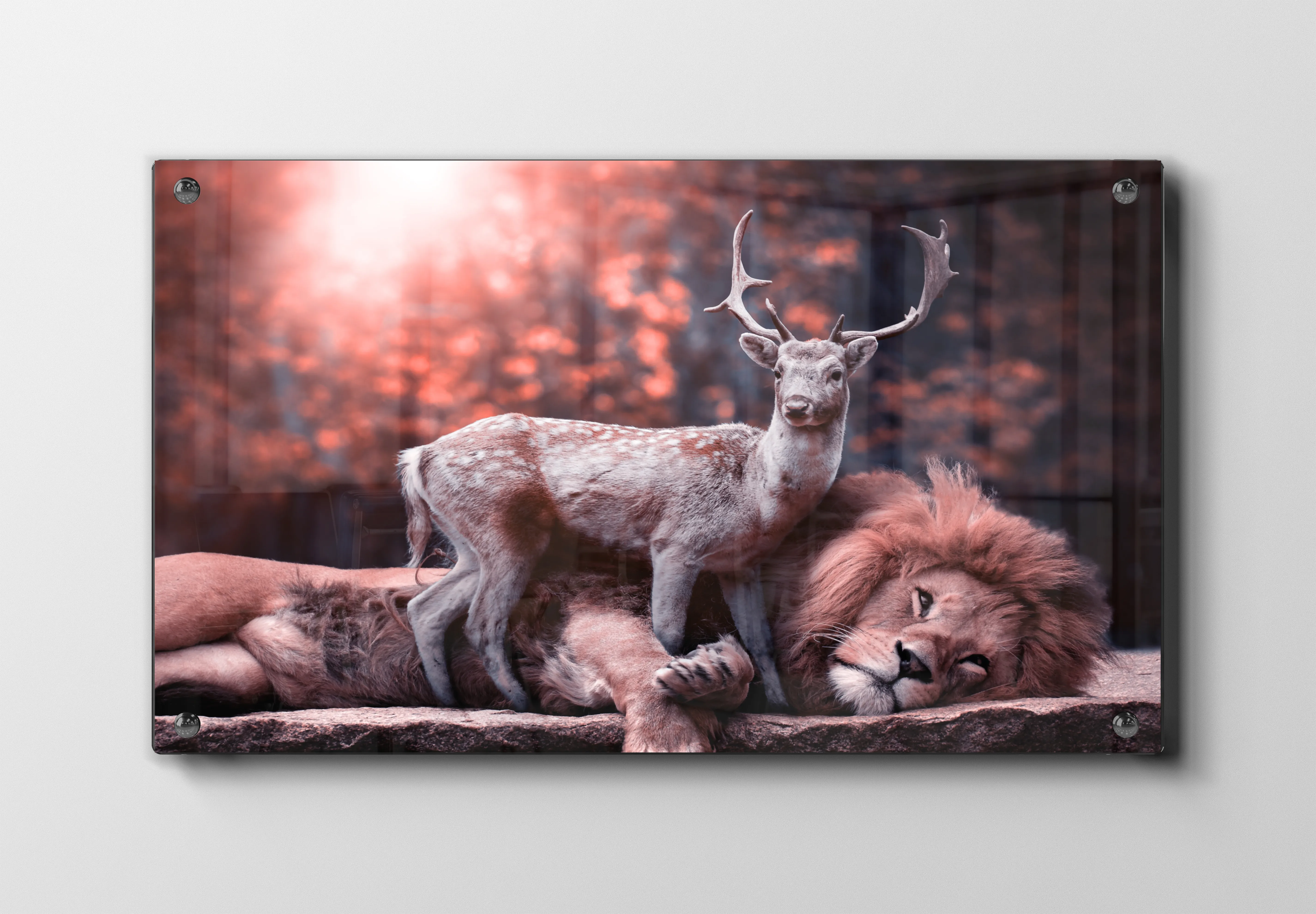 Lion And Deer Plakat