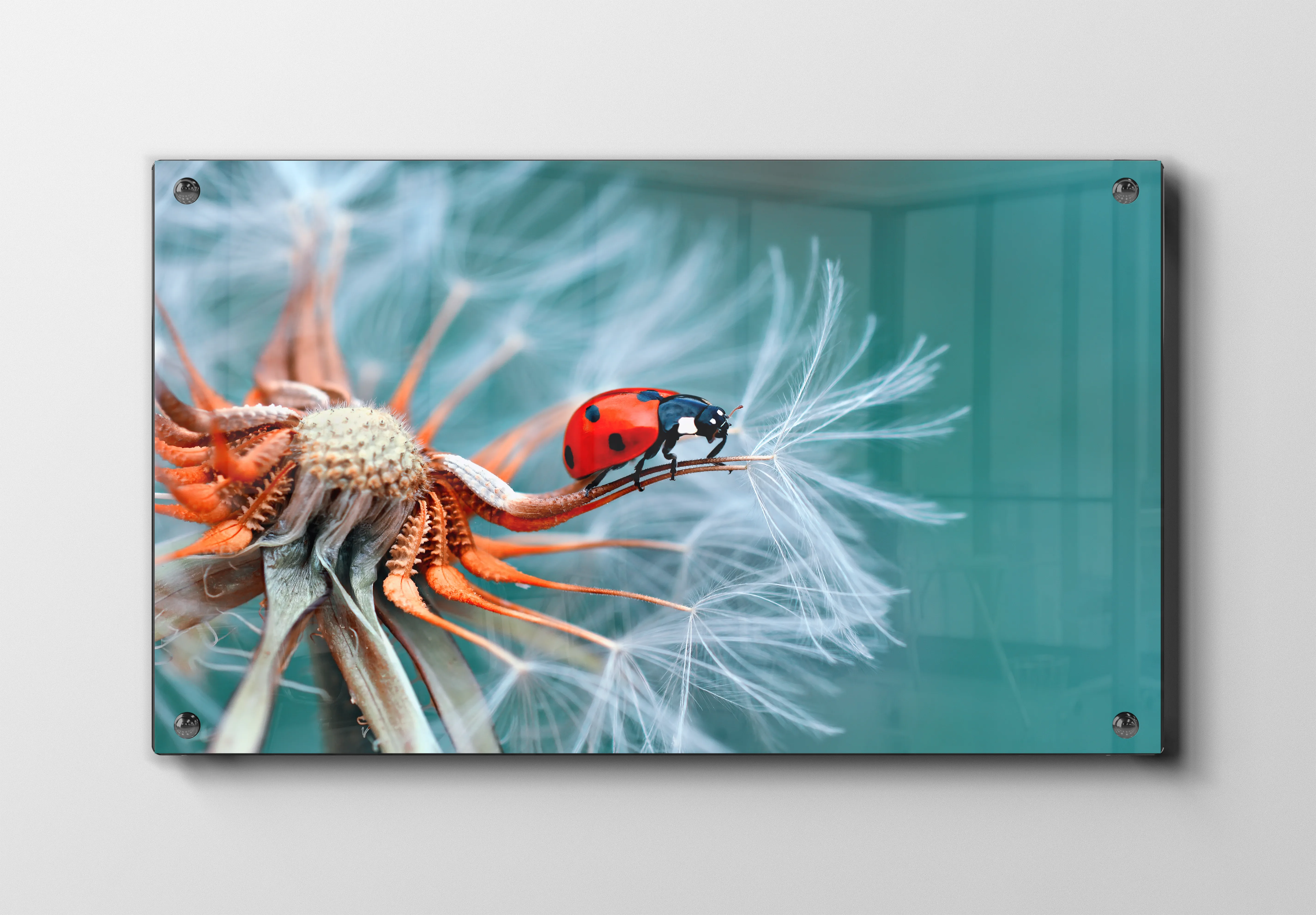 Ladybug On Plakat