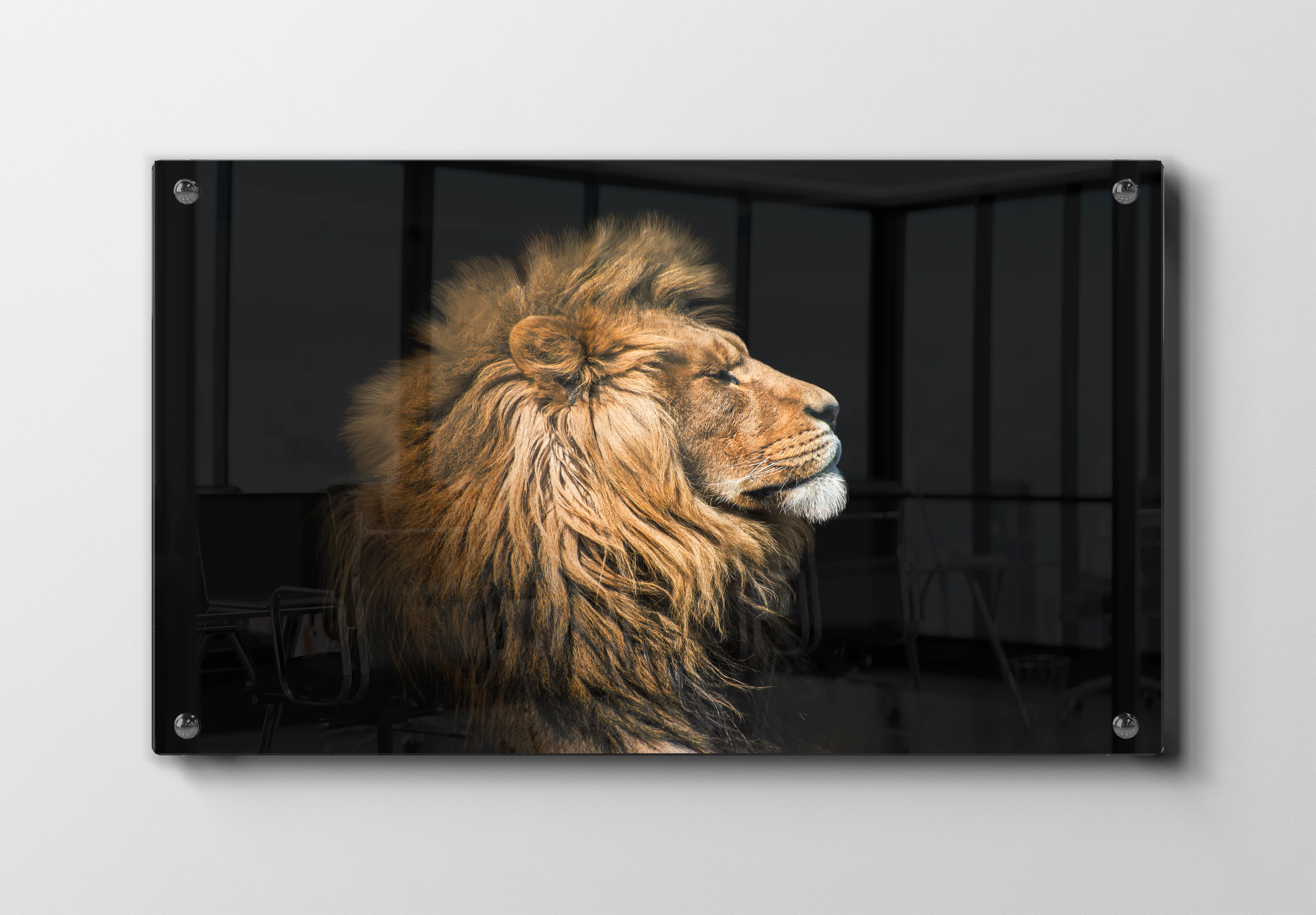 Lion Profile No4 Plakat