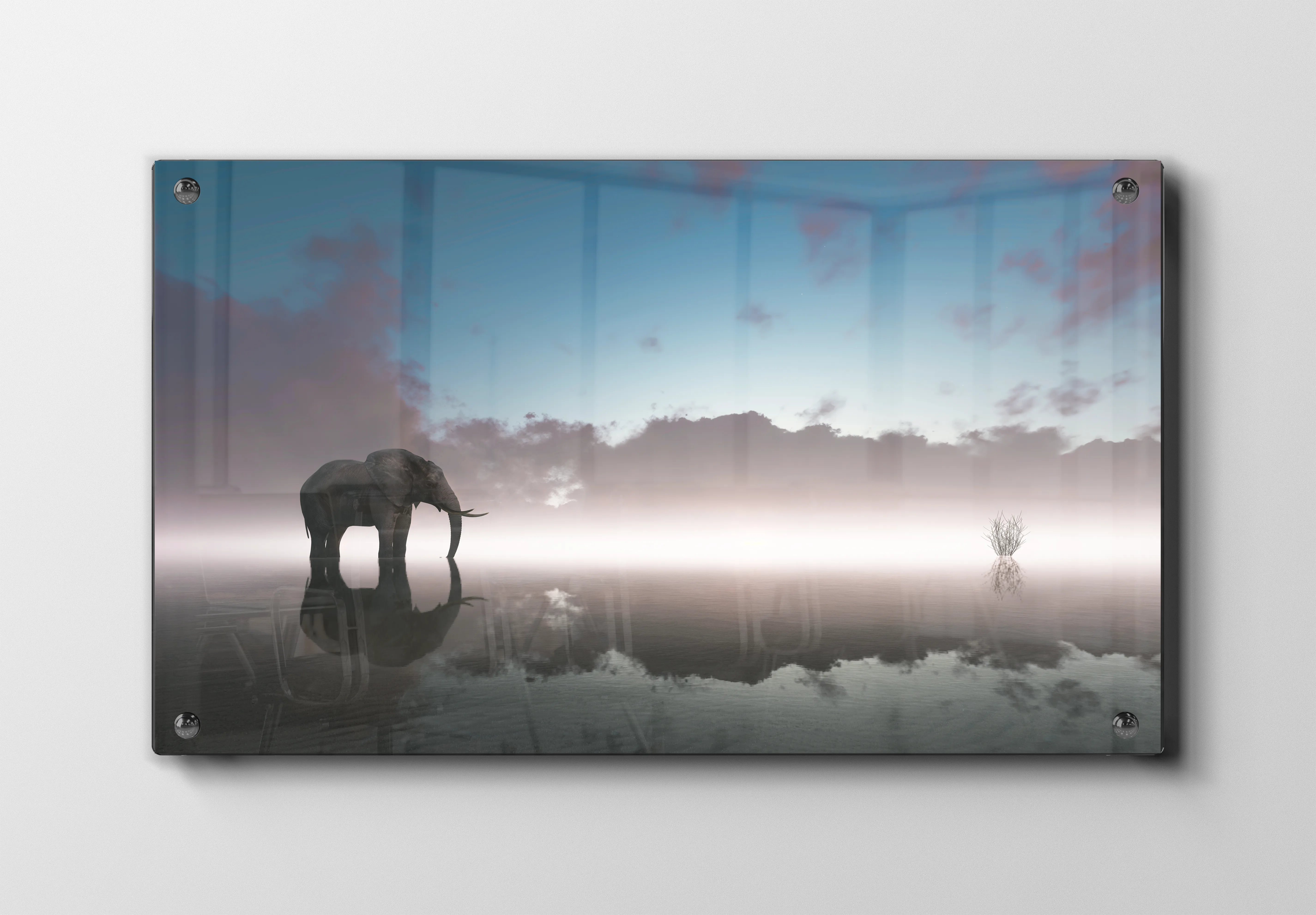 Elephant Reflection Plakat