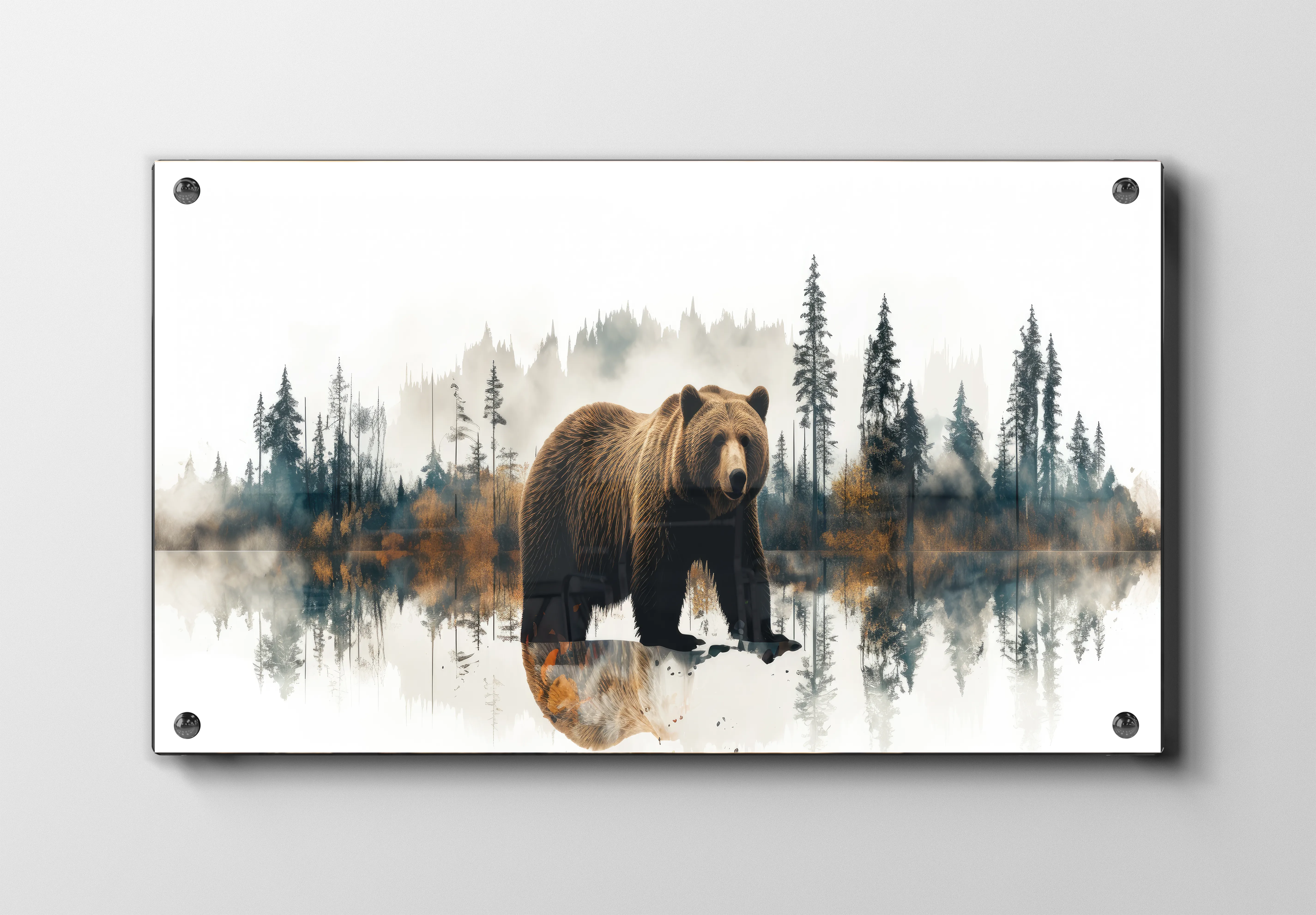 Brown Bear Reflection Plakat