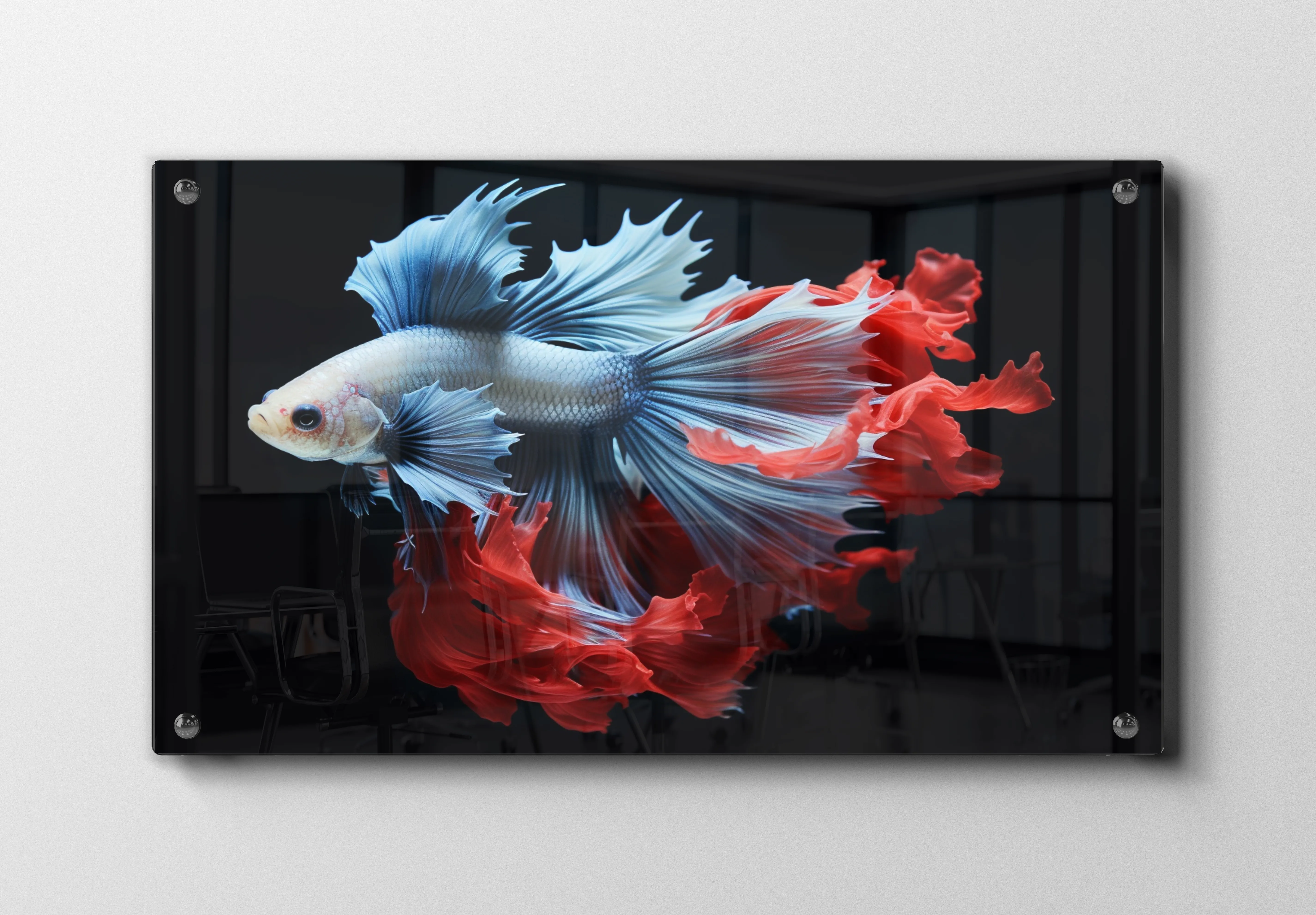 Betta Fish Plakat
