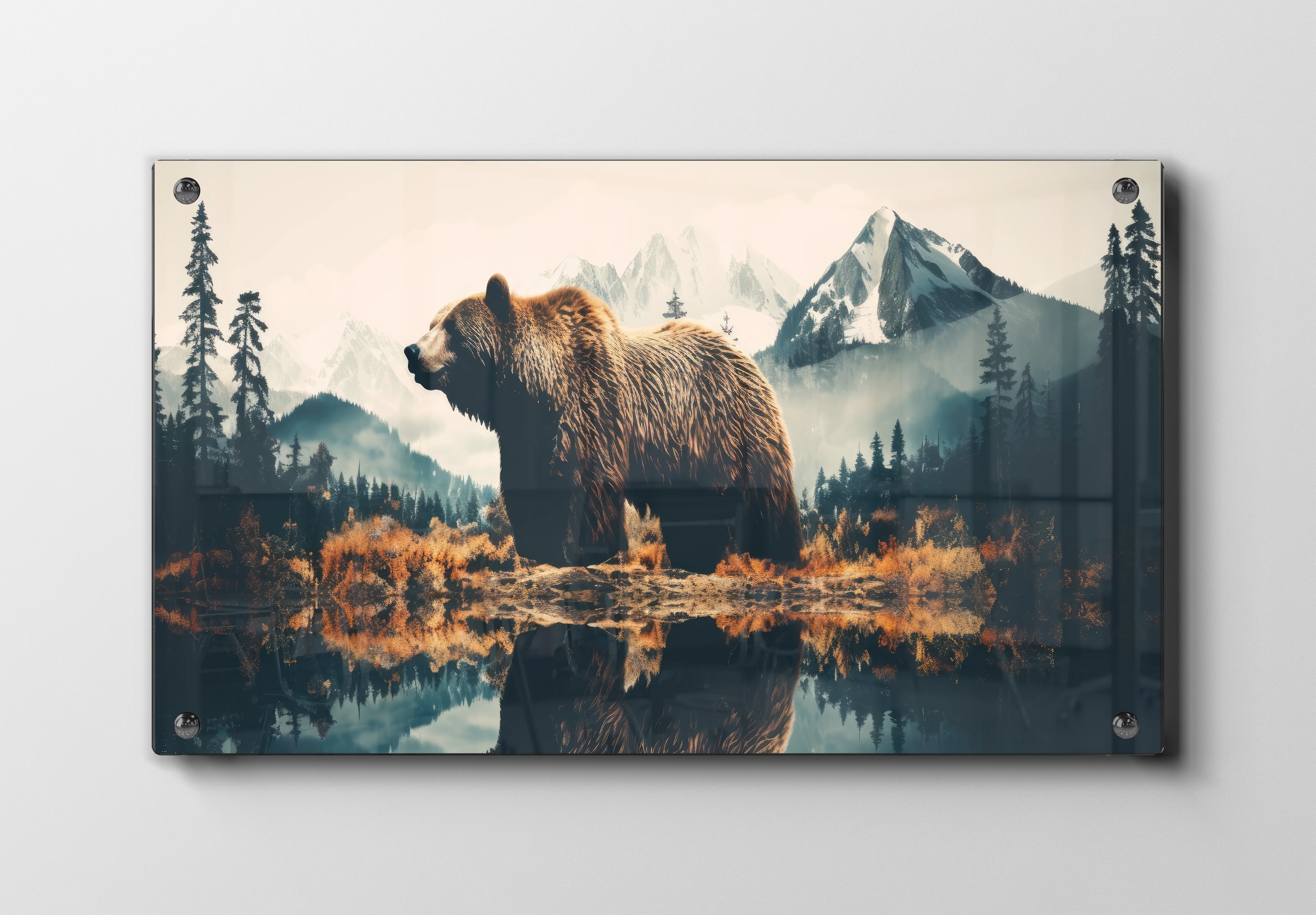 Grizzly Bear Reflection Plakat