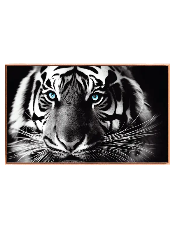 White Tiger Closeup Plakat