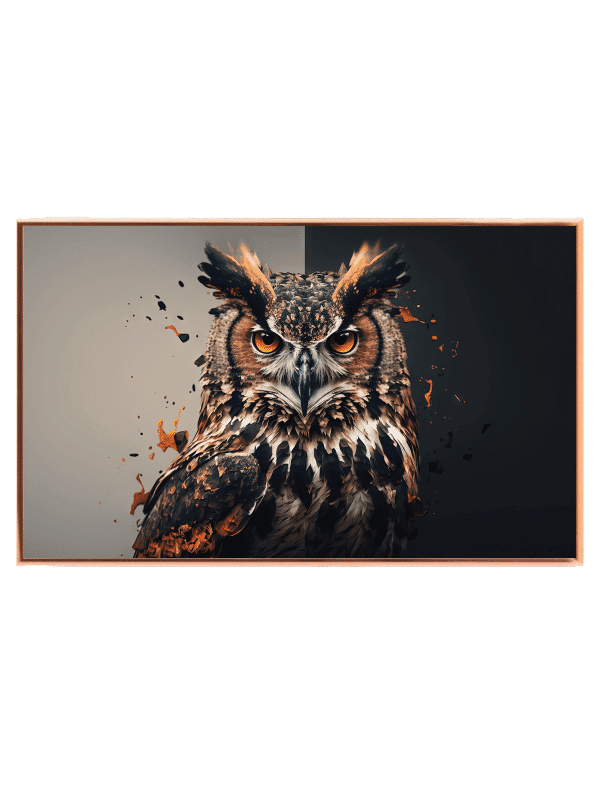 Owl Split Background Plakat
