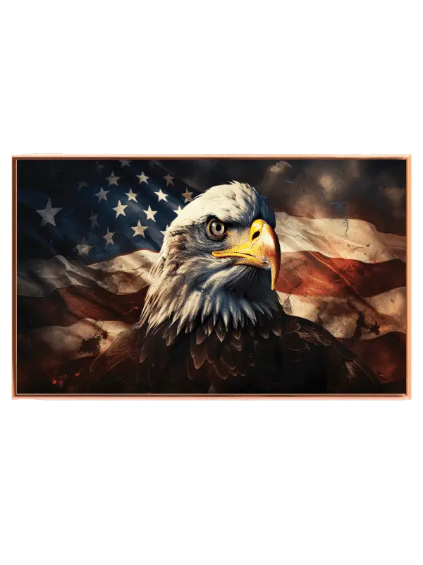 Bald Eagle Close Up Plakat