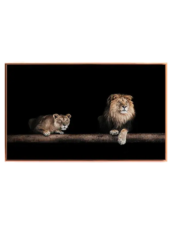 Lion Pair Black Background Plakat