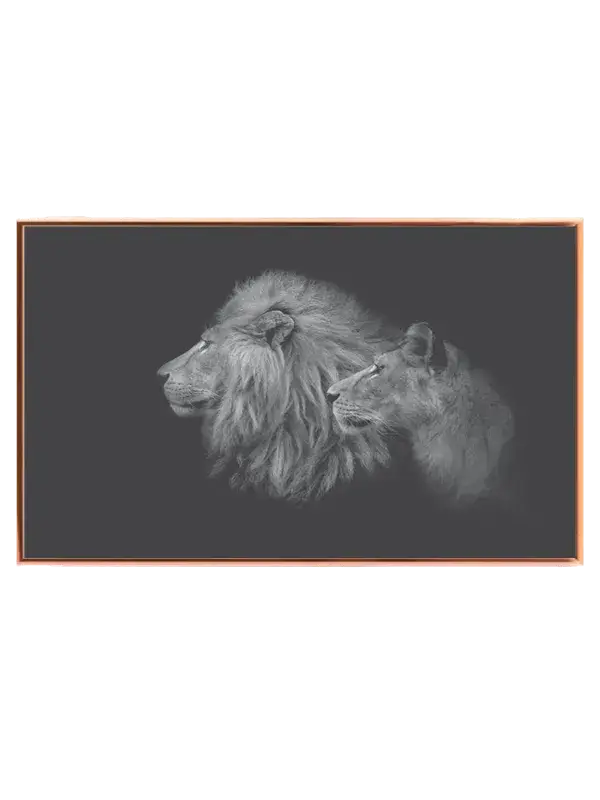 Lion Couple Plakat