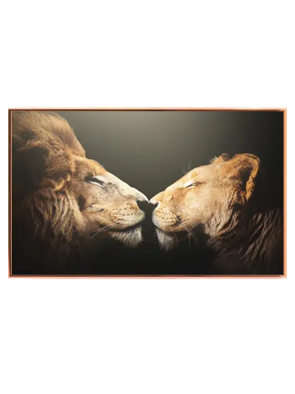 Lion Intimate Moment Plakat