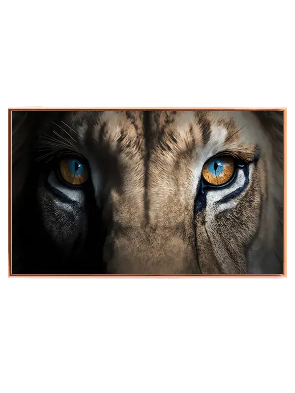 Lion Eyes Plakat