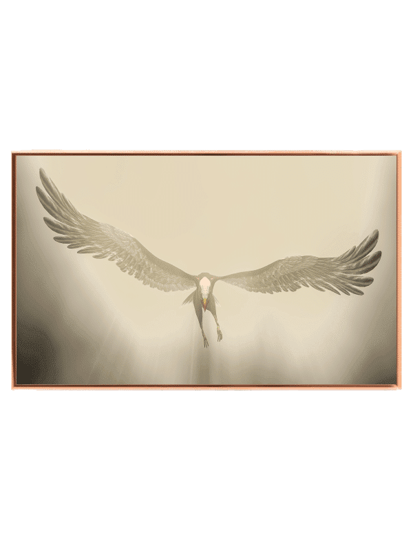 Fugl Flying Crane Plakat