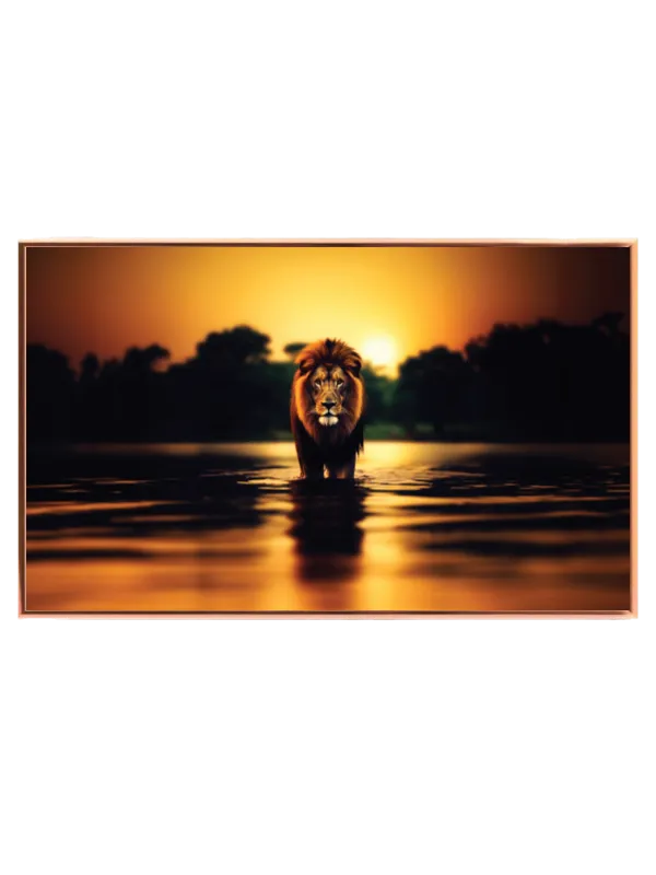 Lion At Sunset Plakat