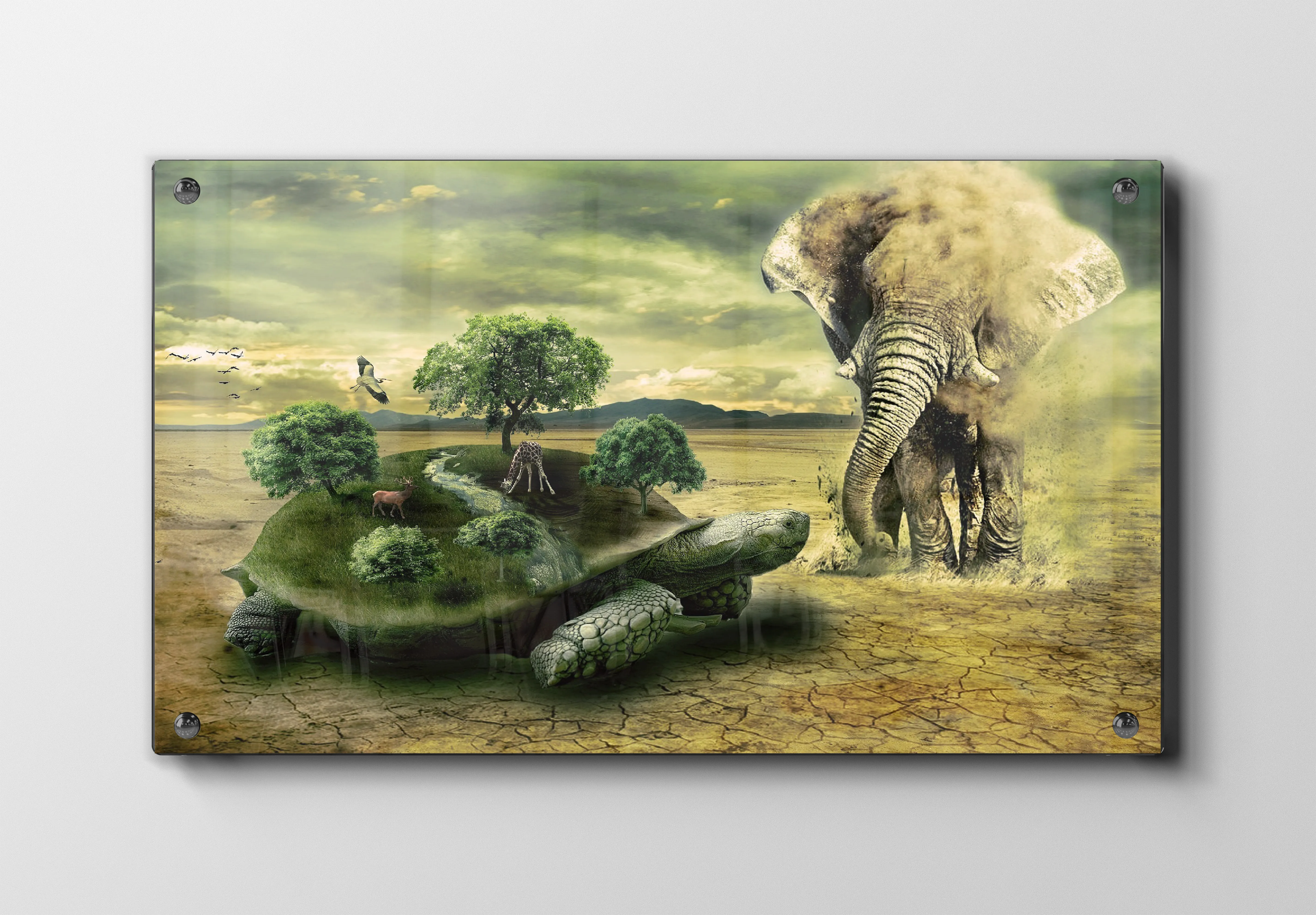 African Elephant And Tortoise Plakat