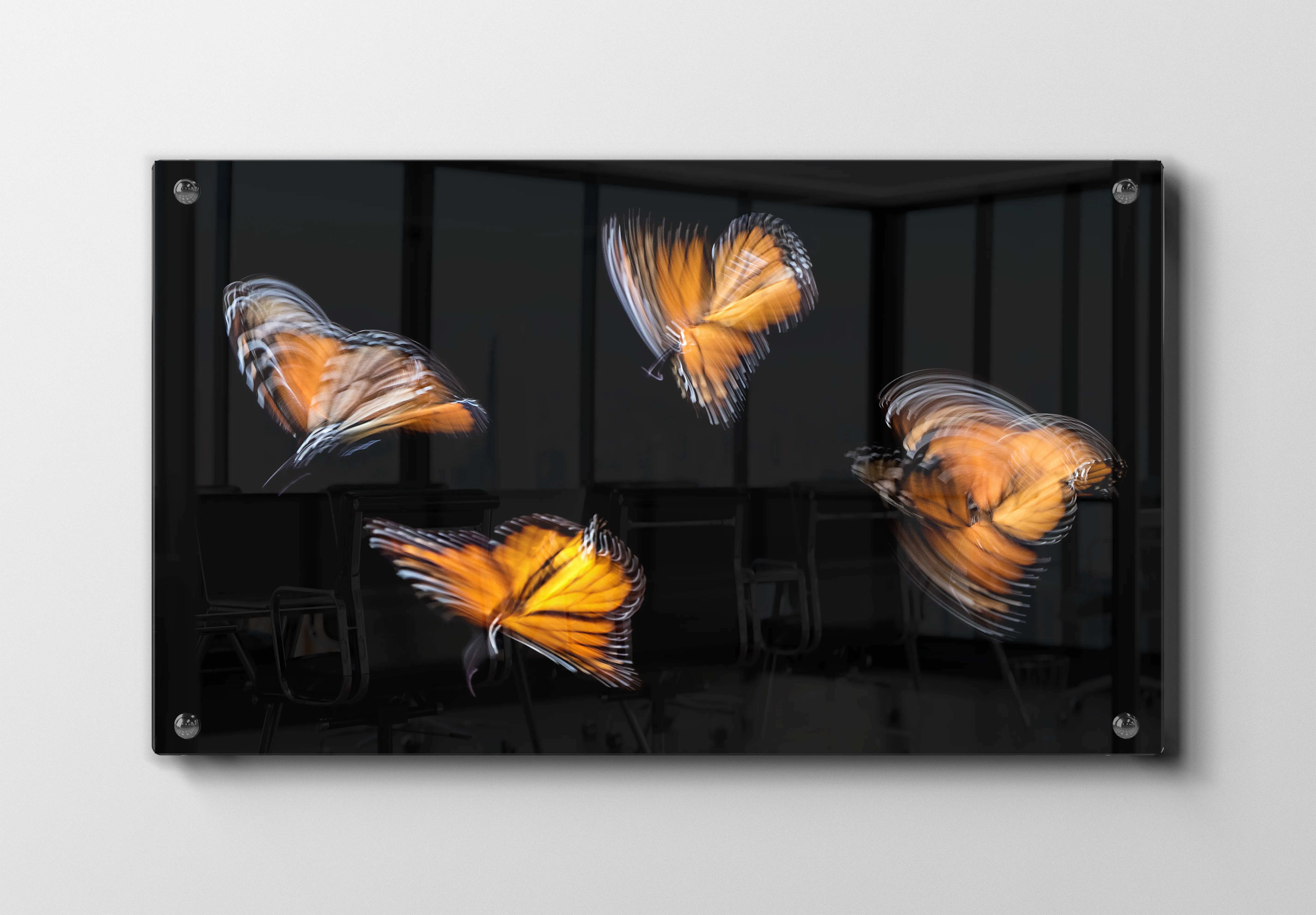 Monarch Butterfly No2 Plakat