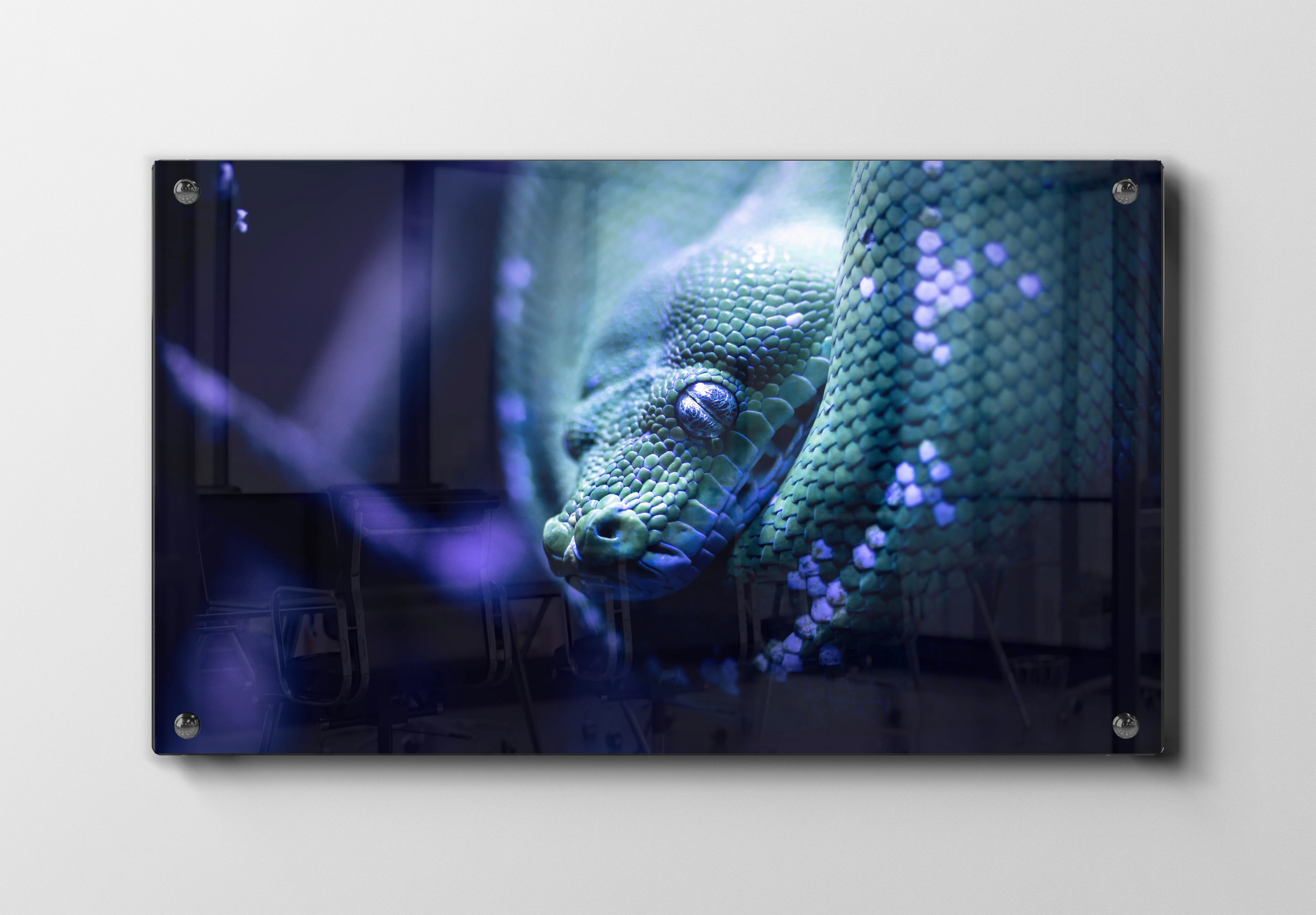 Slange Green Tree Python No2 Plakat