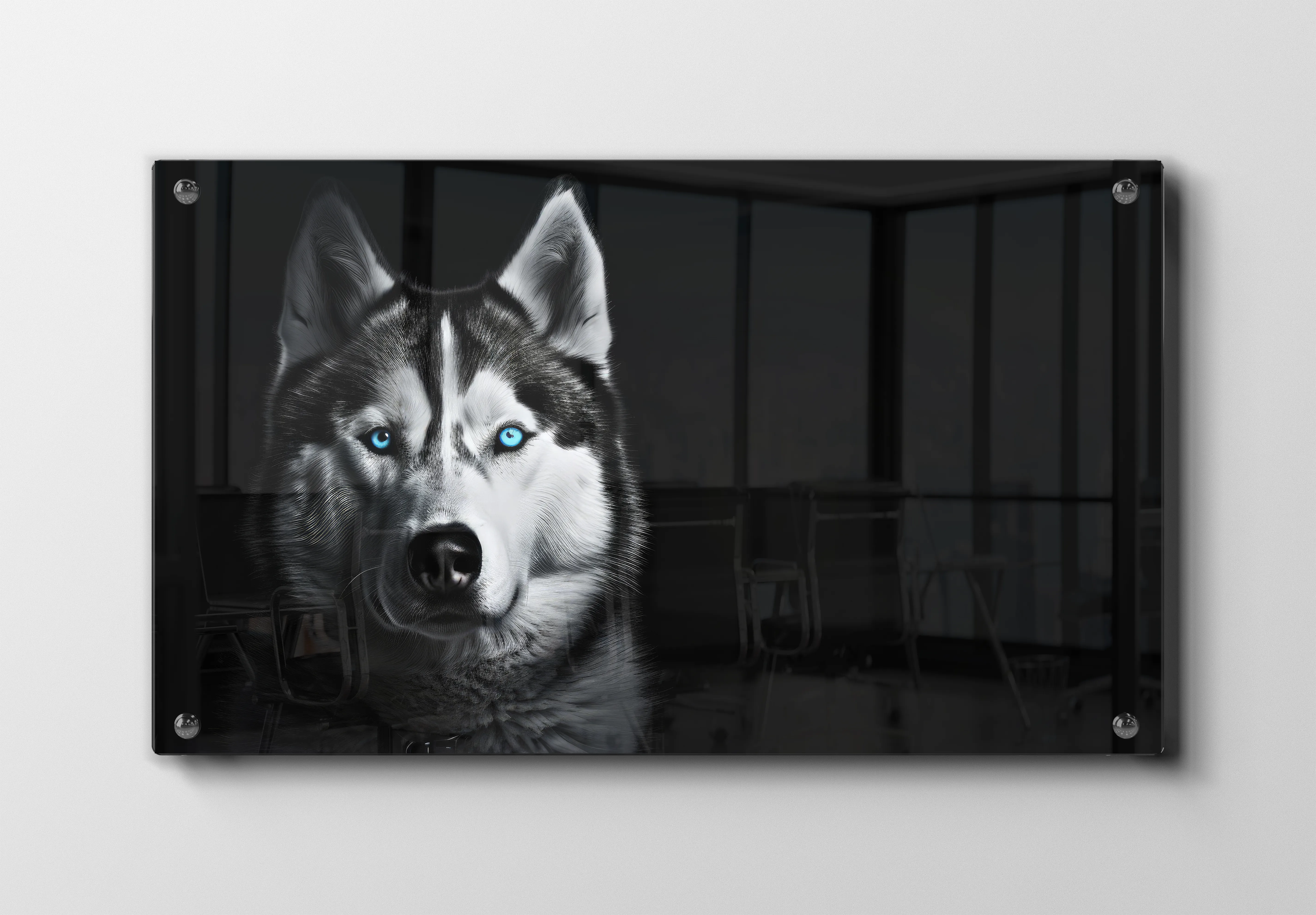 Siberian Husky No2 Plakat