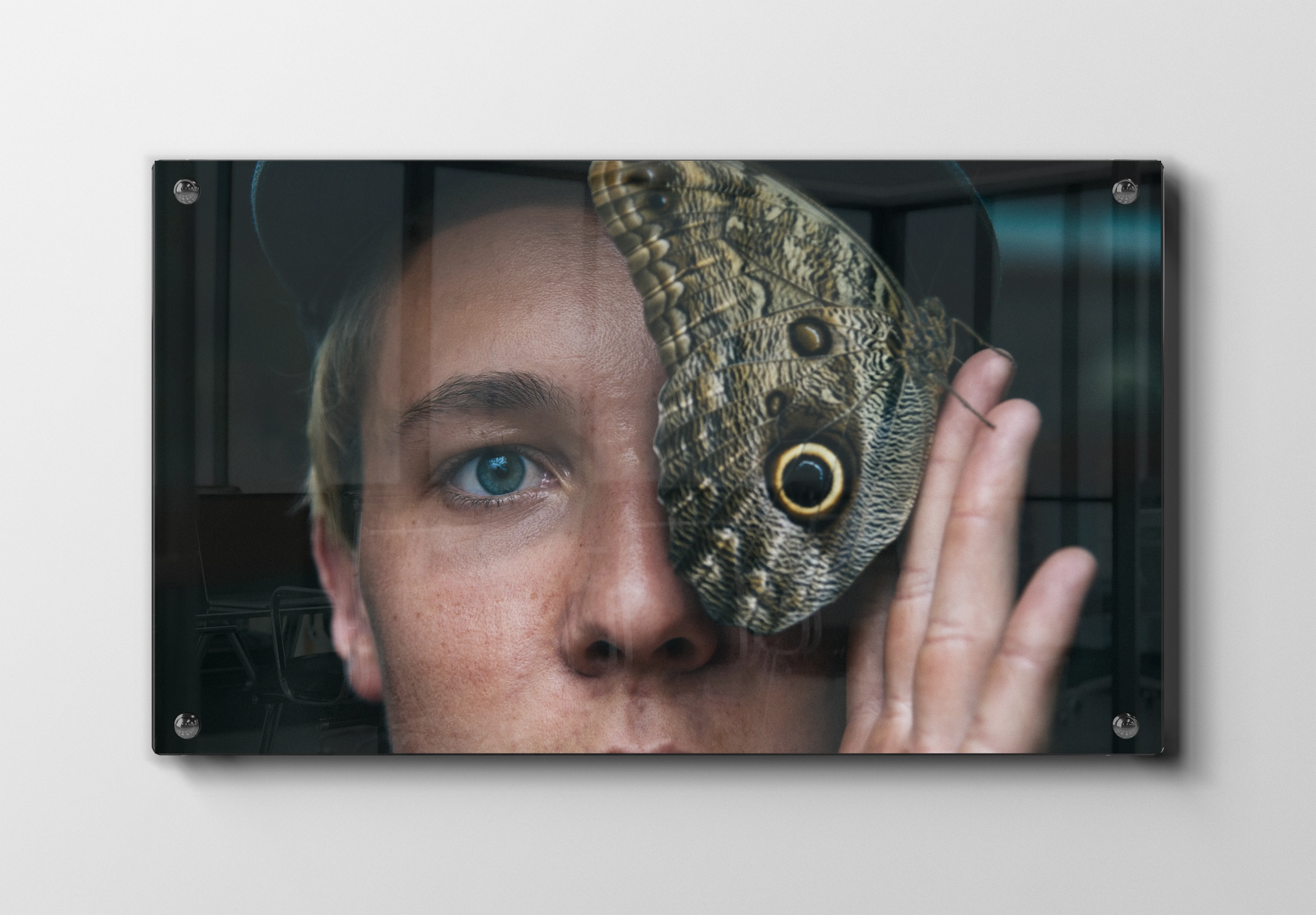 Owl Butterfly Plakat