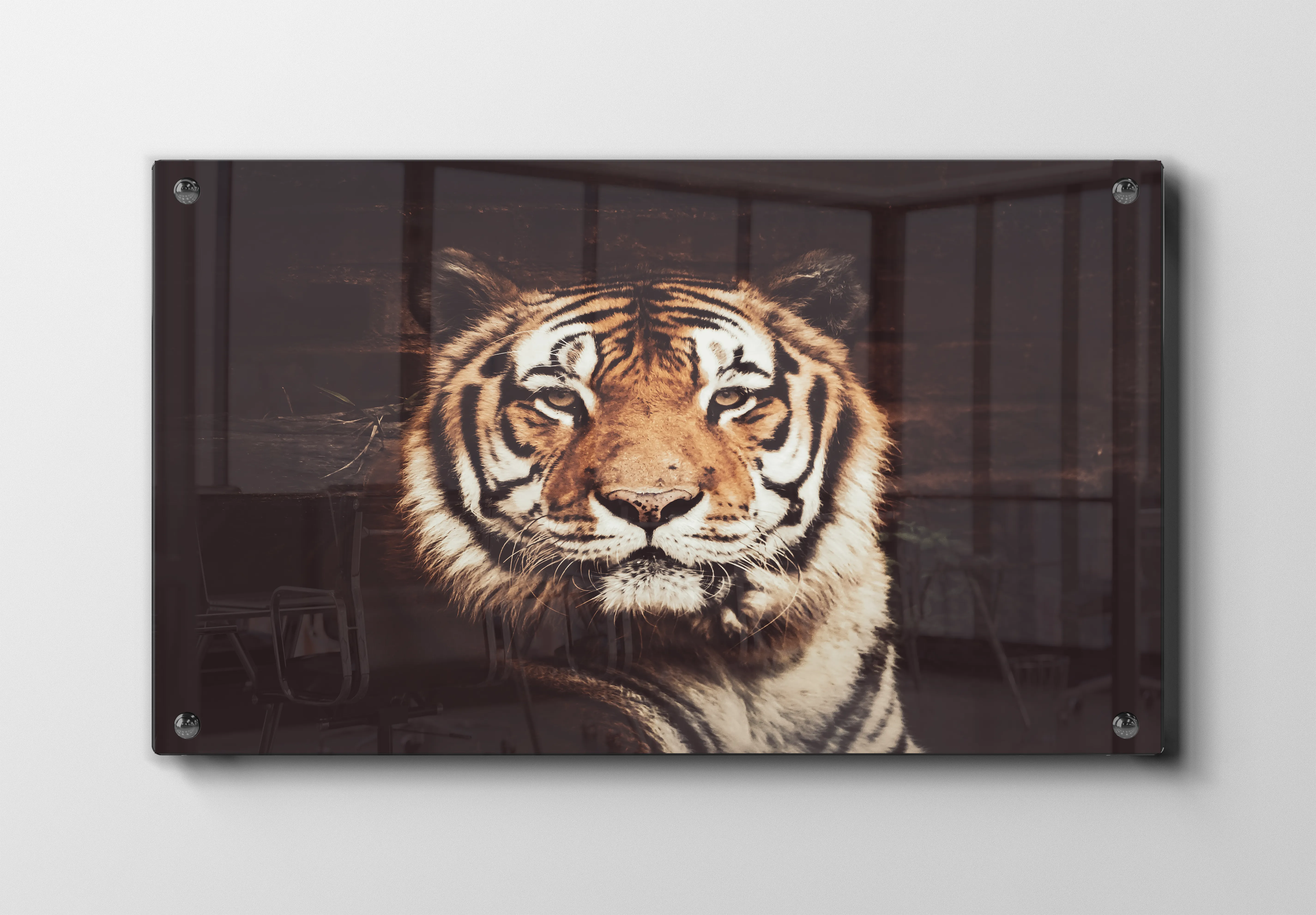 Tiger Close Up No2 Plakat