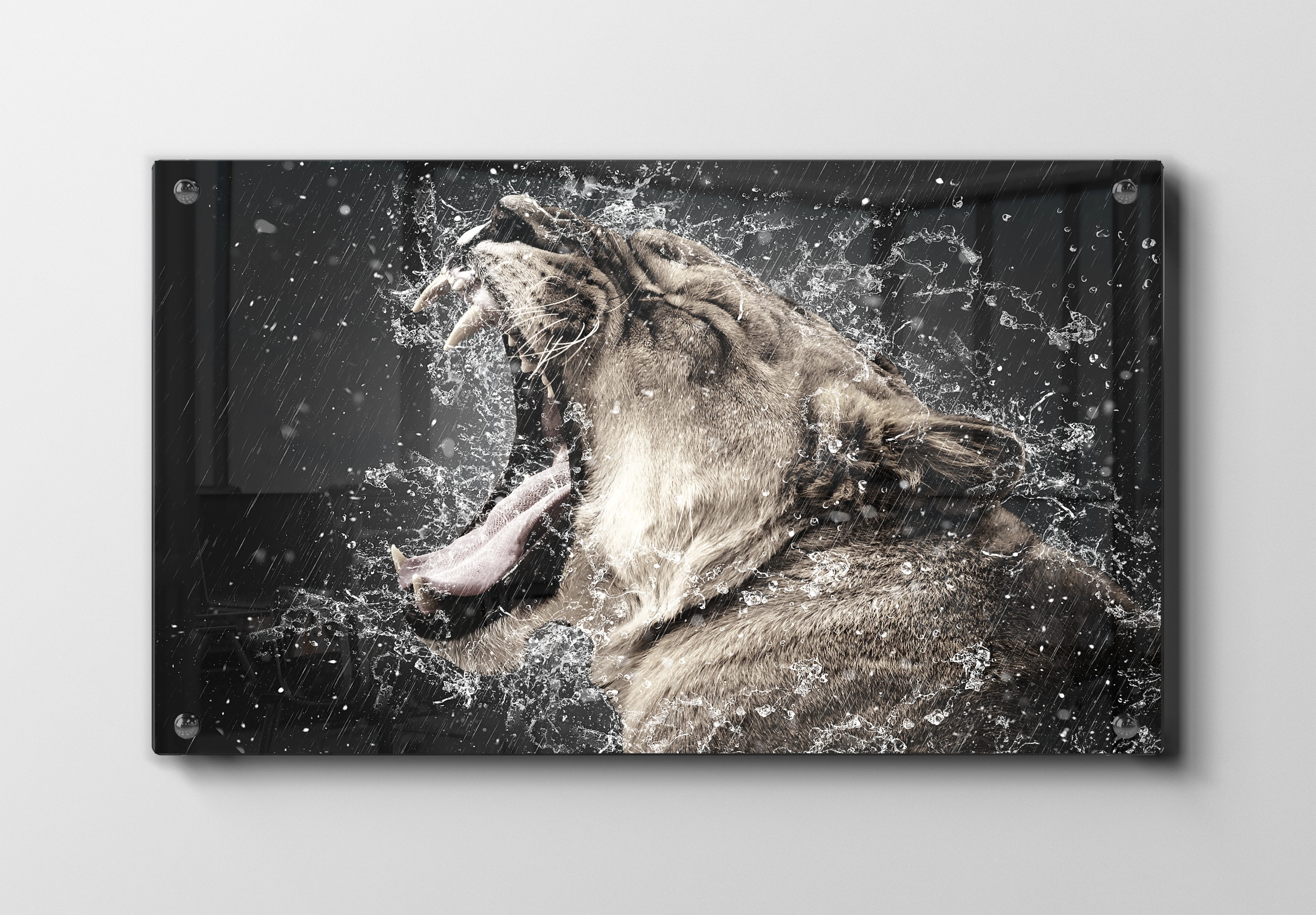 Lioness Yawn Plakat