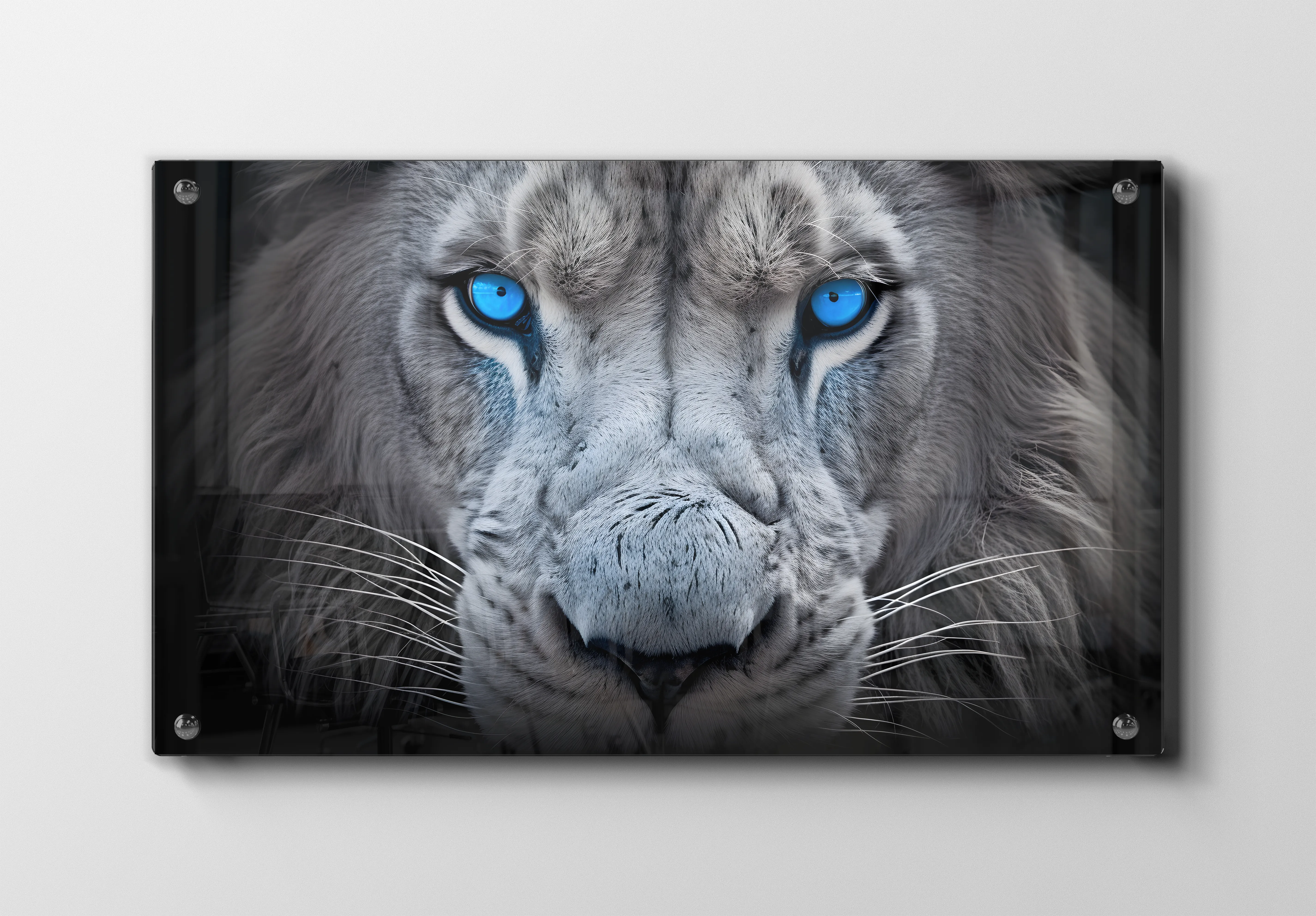 White Lion Closeup Plakat