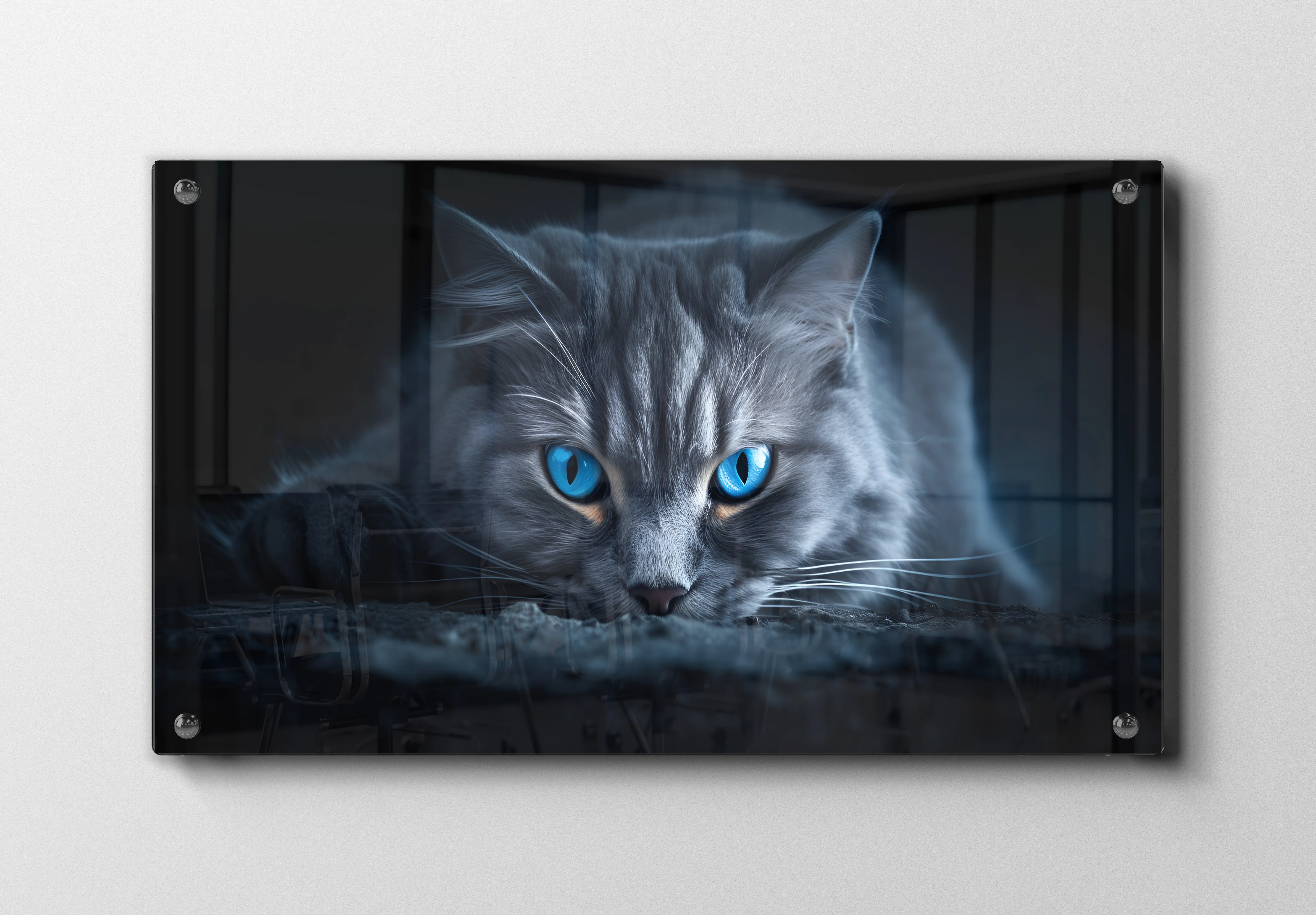 Cat Blue Plakat