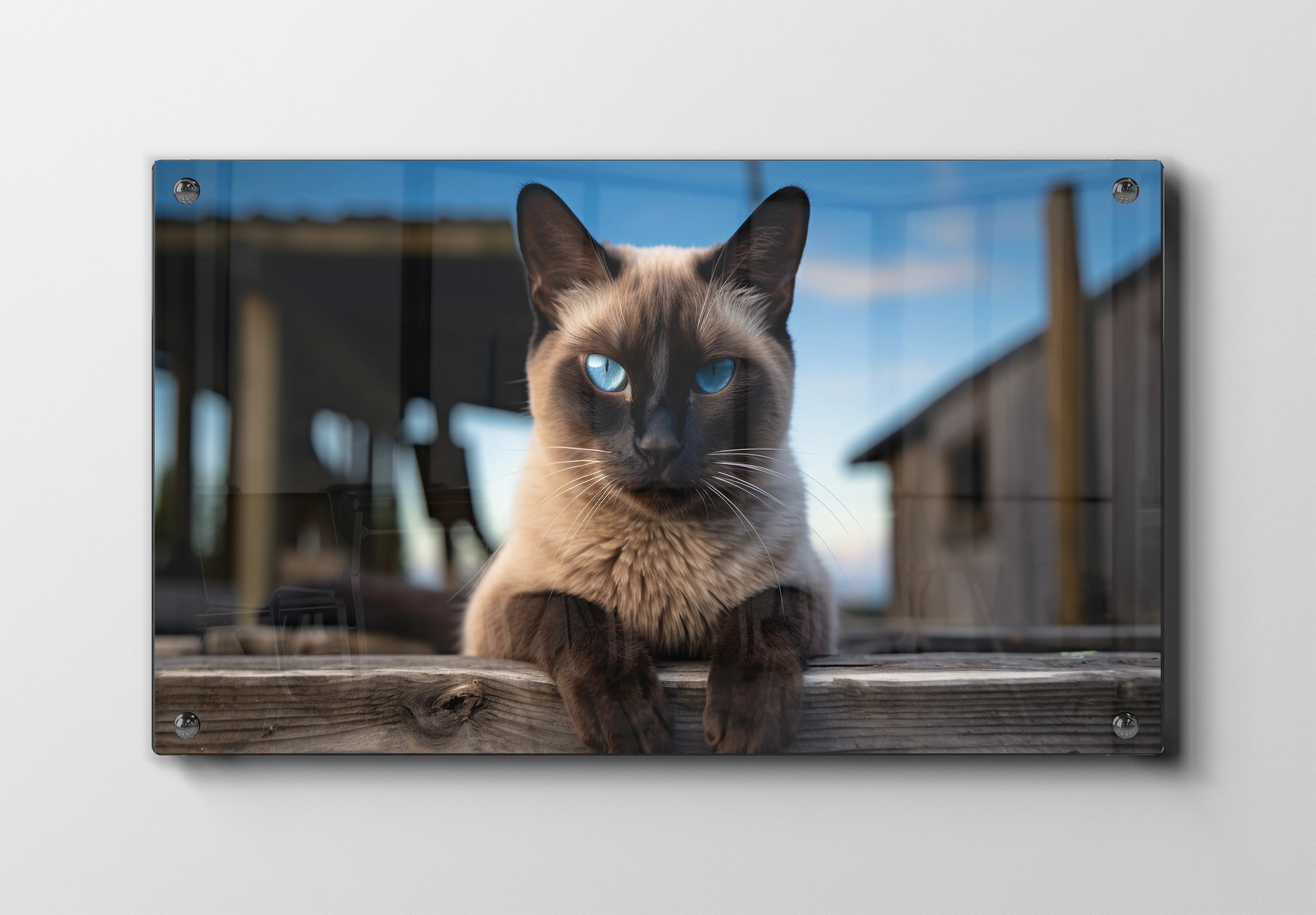 Siamese Cat Plakat