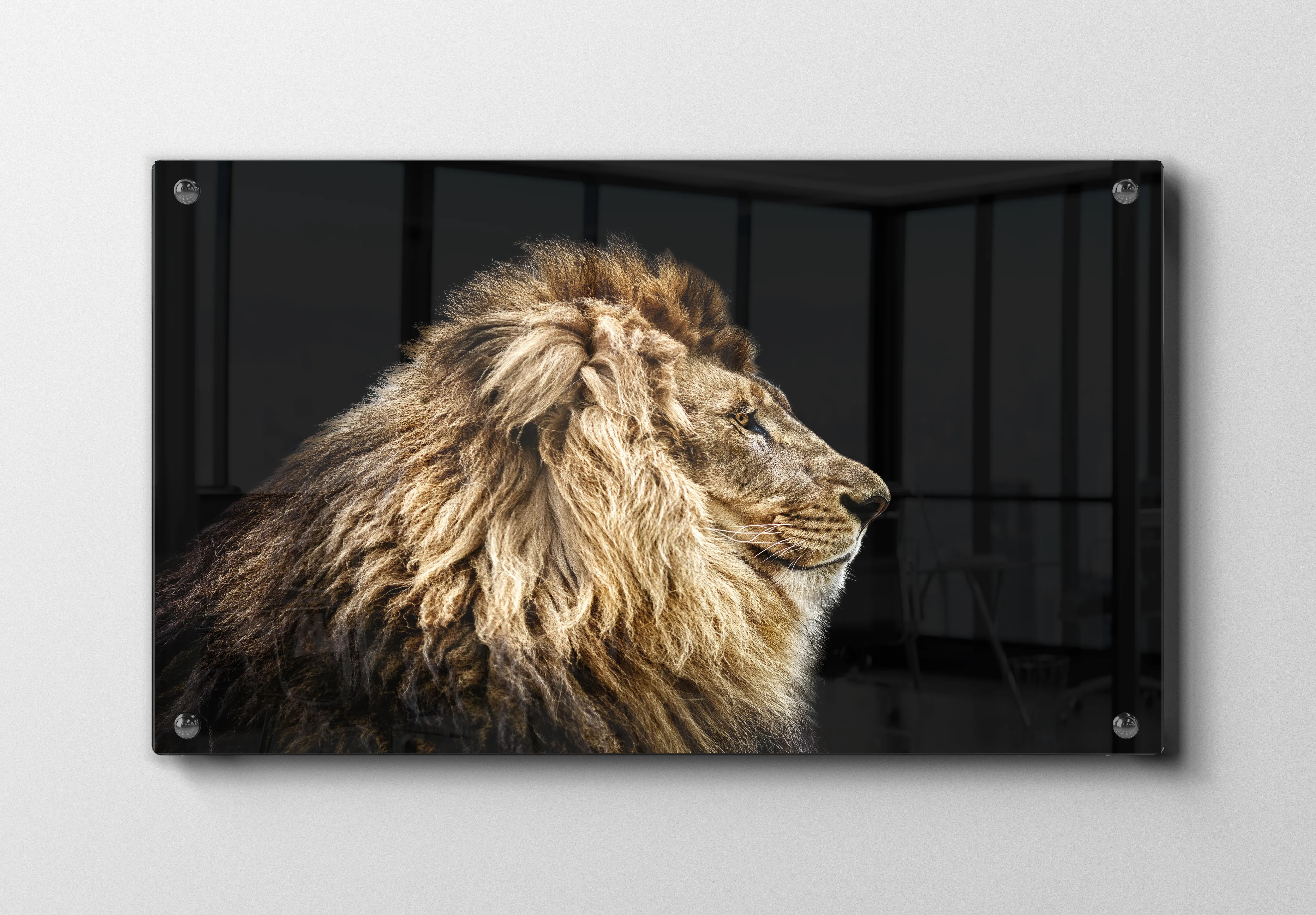Lion Profile Black Plakat