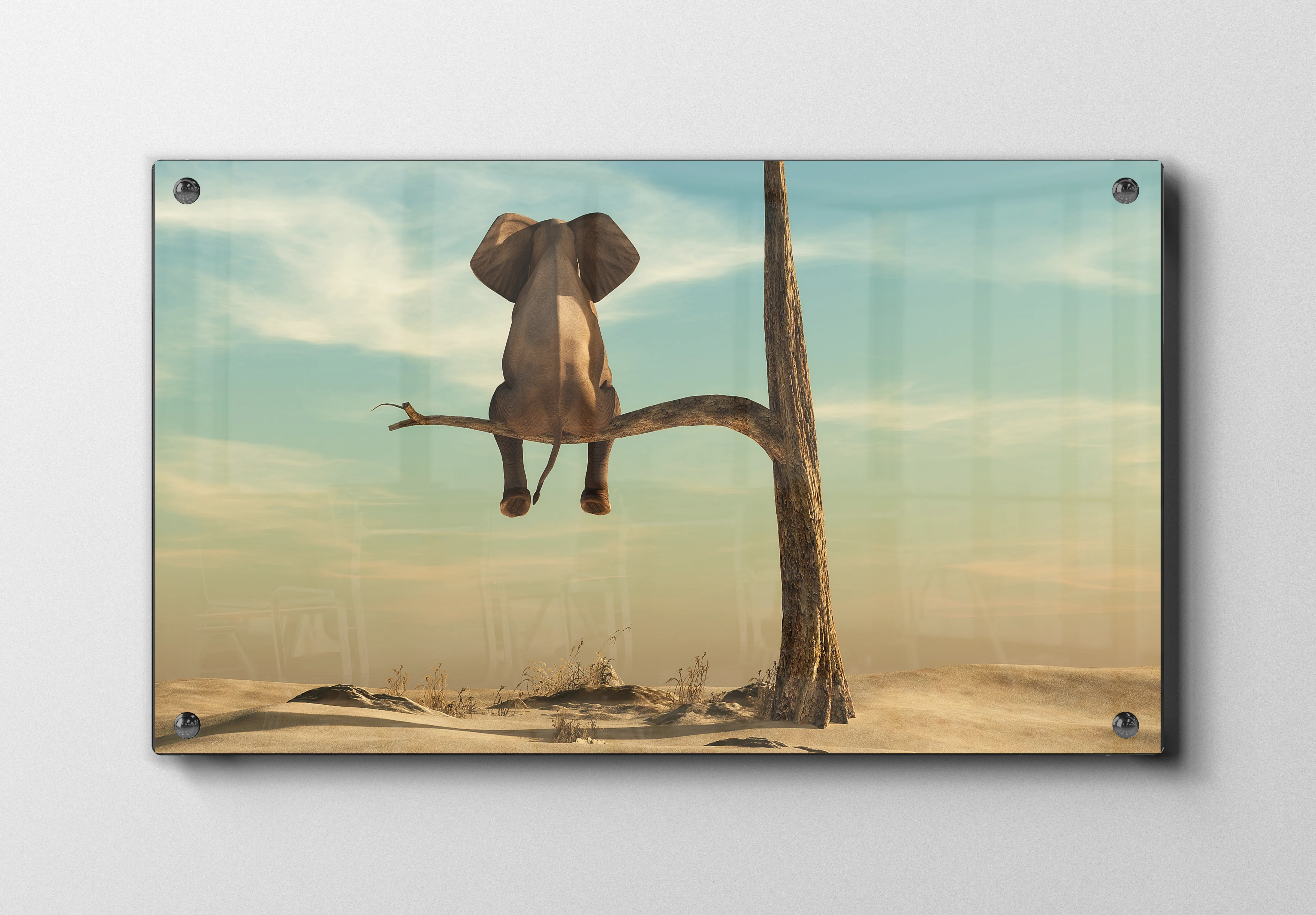 Elephant Sitting Plakat