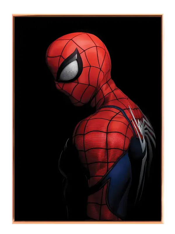 Spider-man i Mørk Silhuet