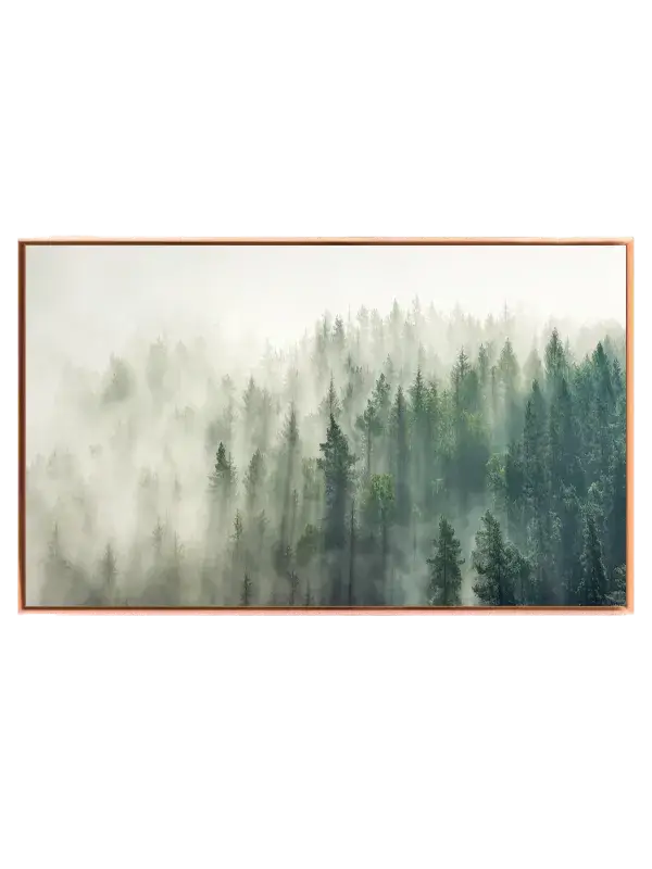 Tåget Fyrreskov Morgen Plakat