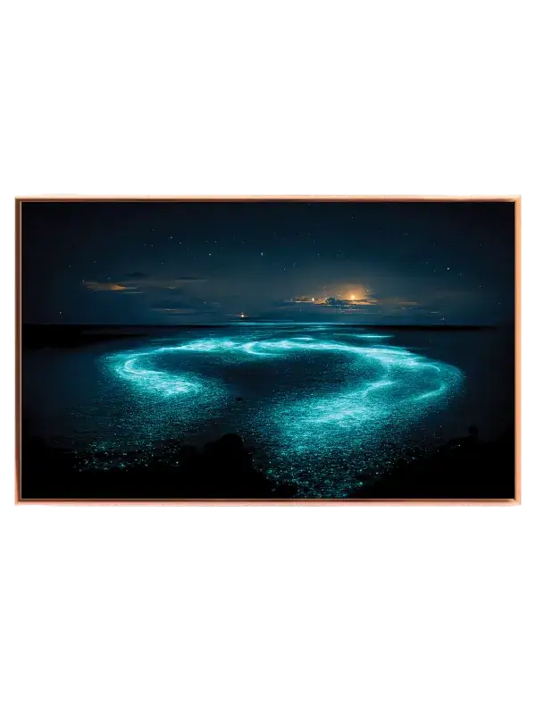 Bioluminescerende Havlysning Plakat