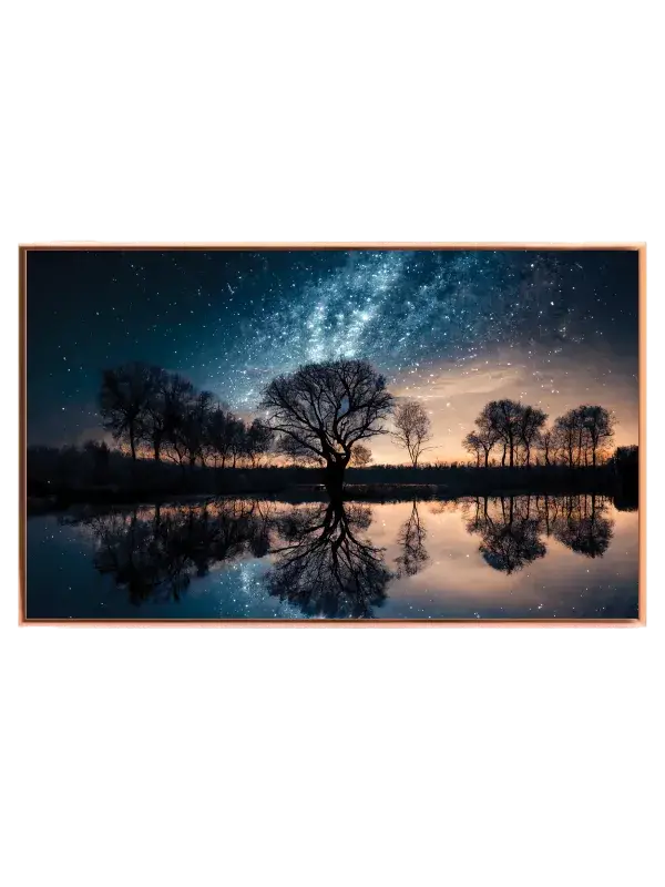 Nøgne Træer og Stjernehimmel Plakat