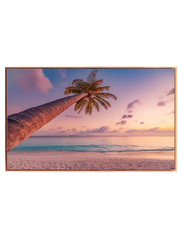 Palme ved Solnedgang Plakat