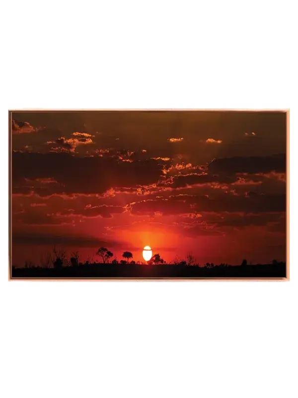 Savanne Solnedgang Plakat