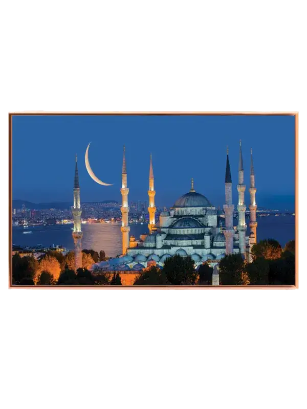 Istanbul Nighttime Mosque View