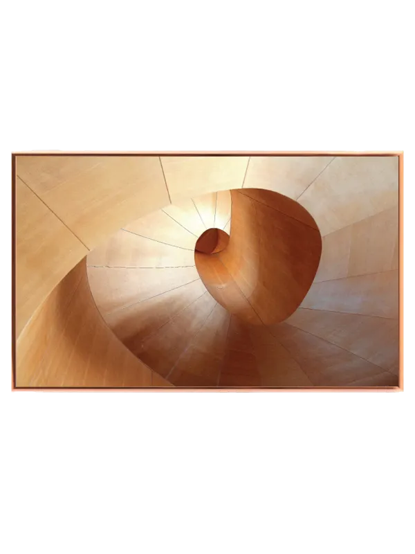 Spiralens Træagtige Elegance