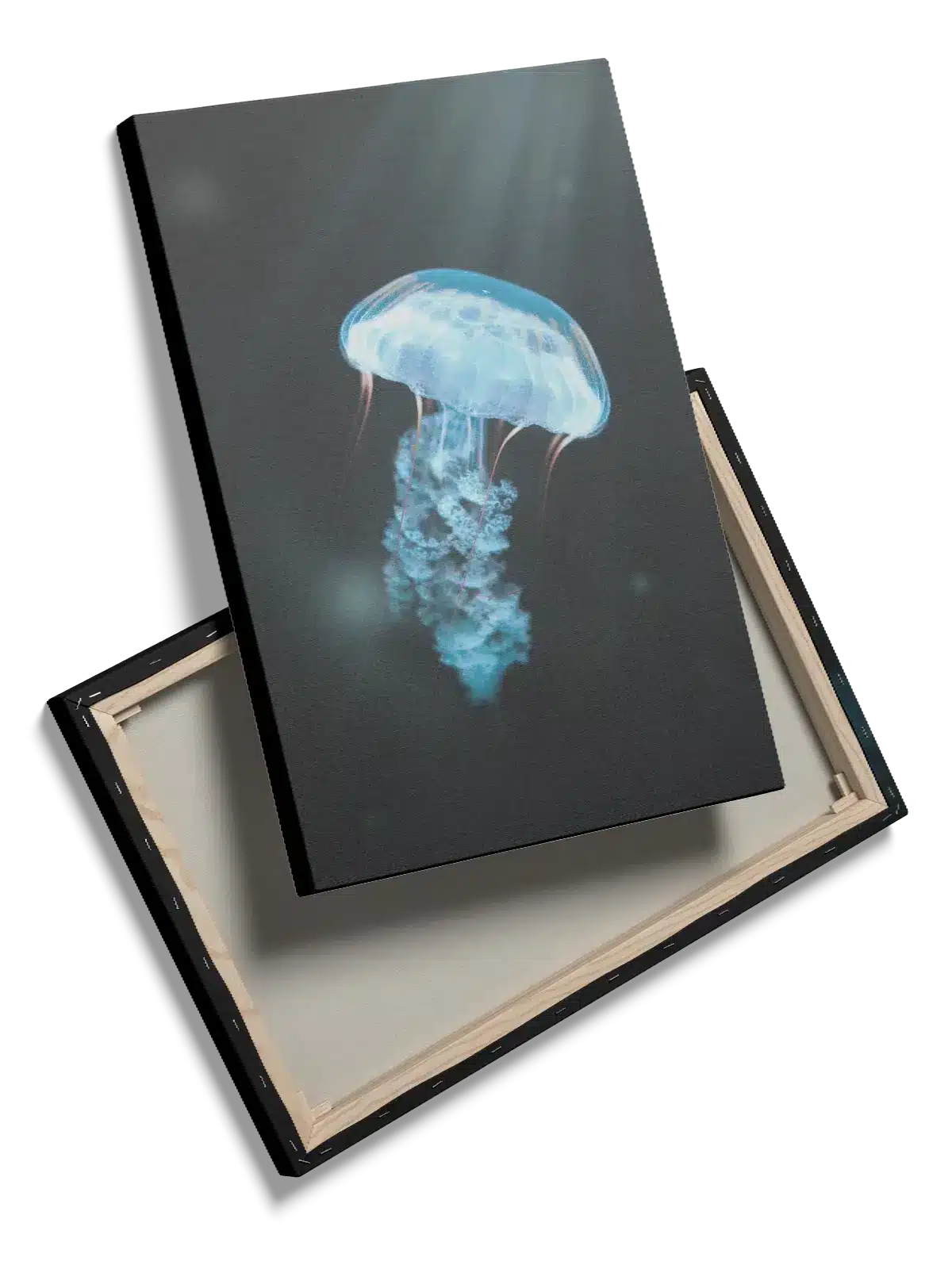 Jellyfish Plakat