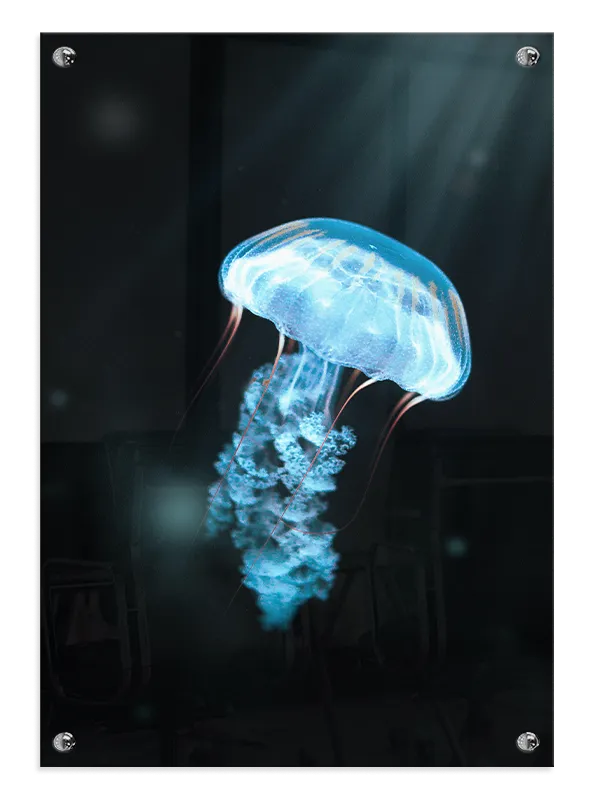 Jellyfish Plakat