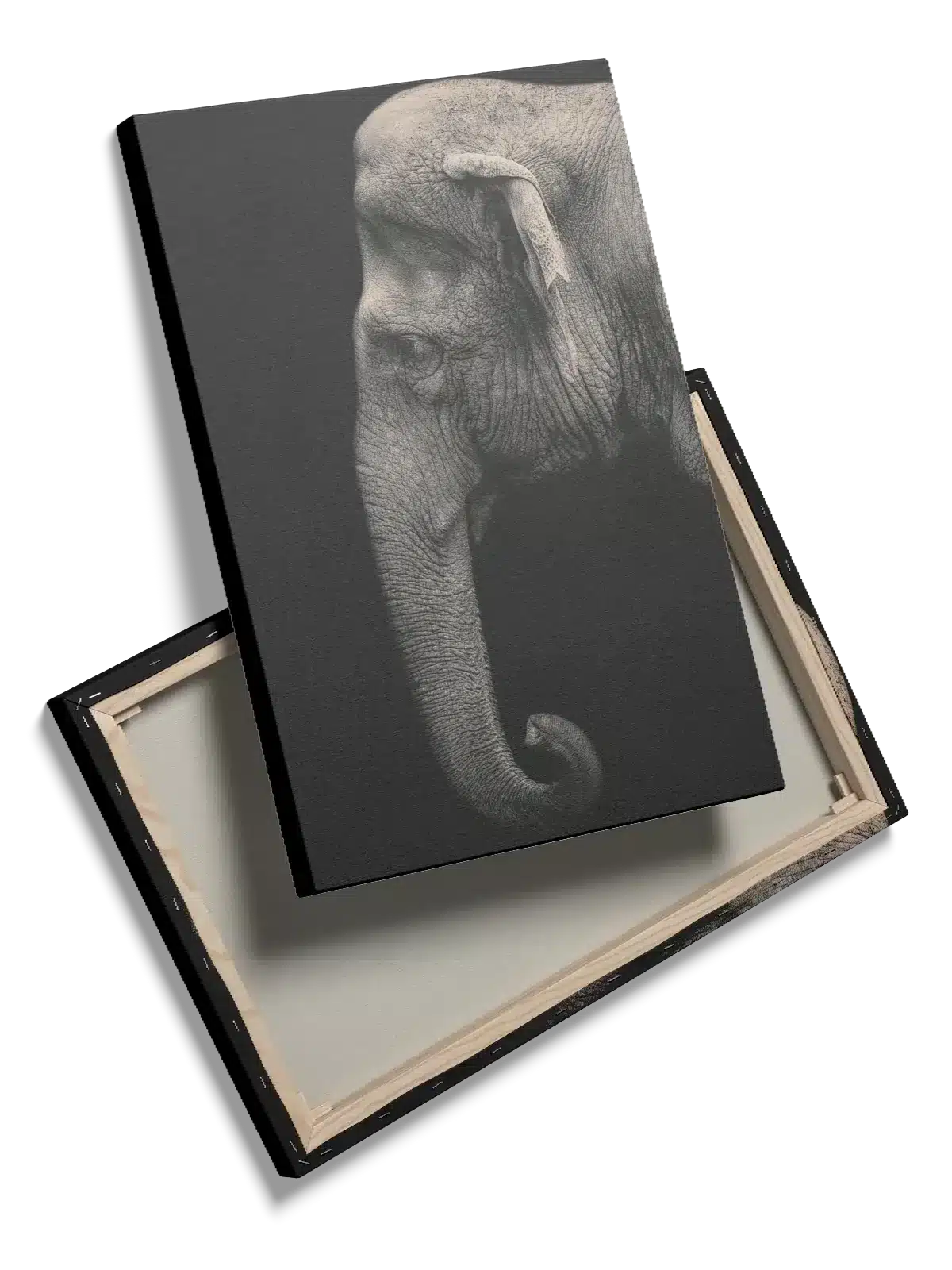 Elephant Profile Plakat