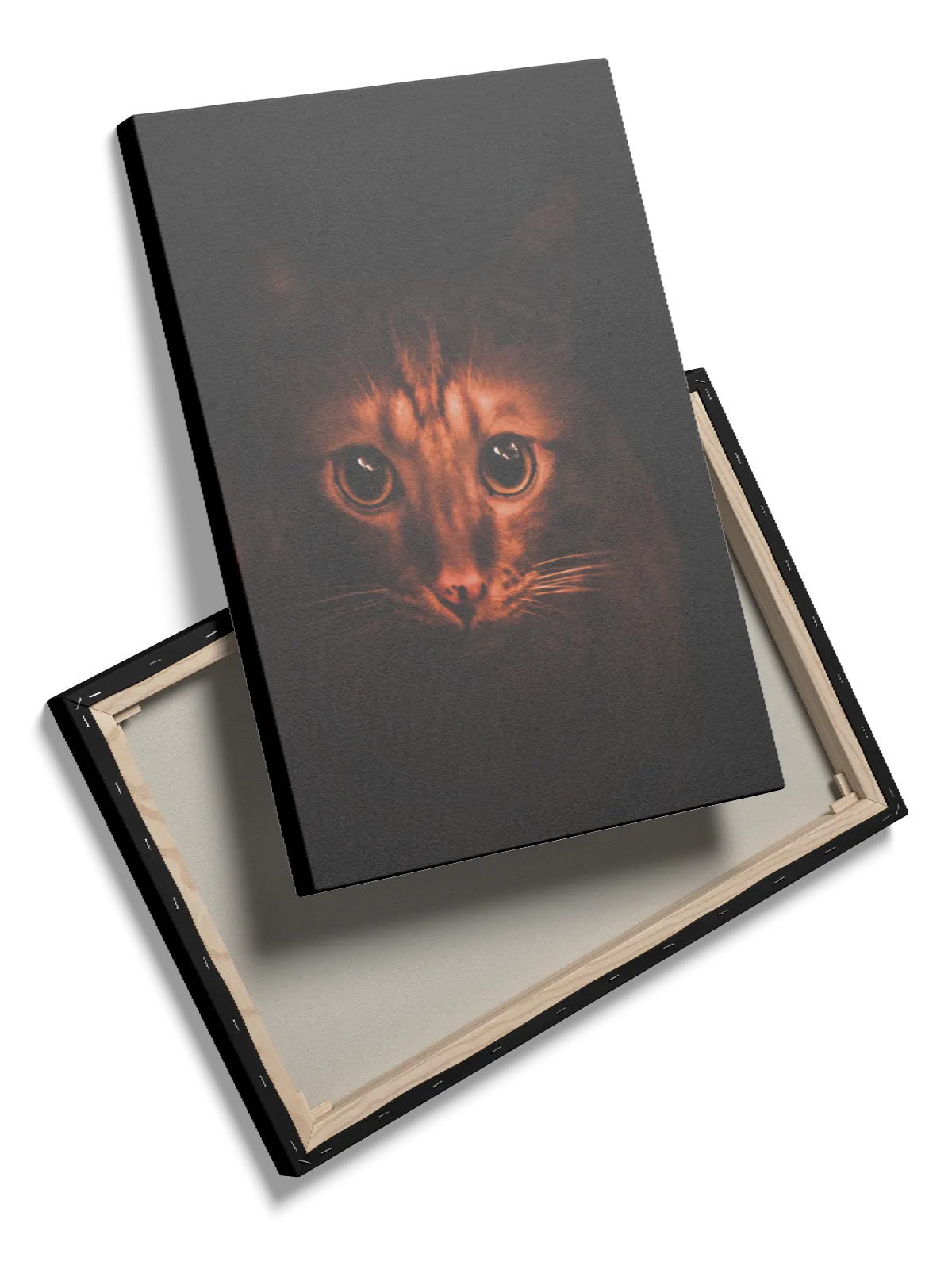Tabby Cat Plakat